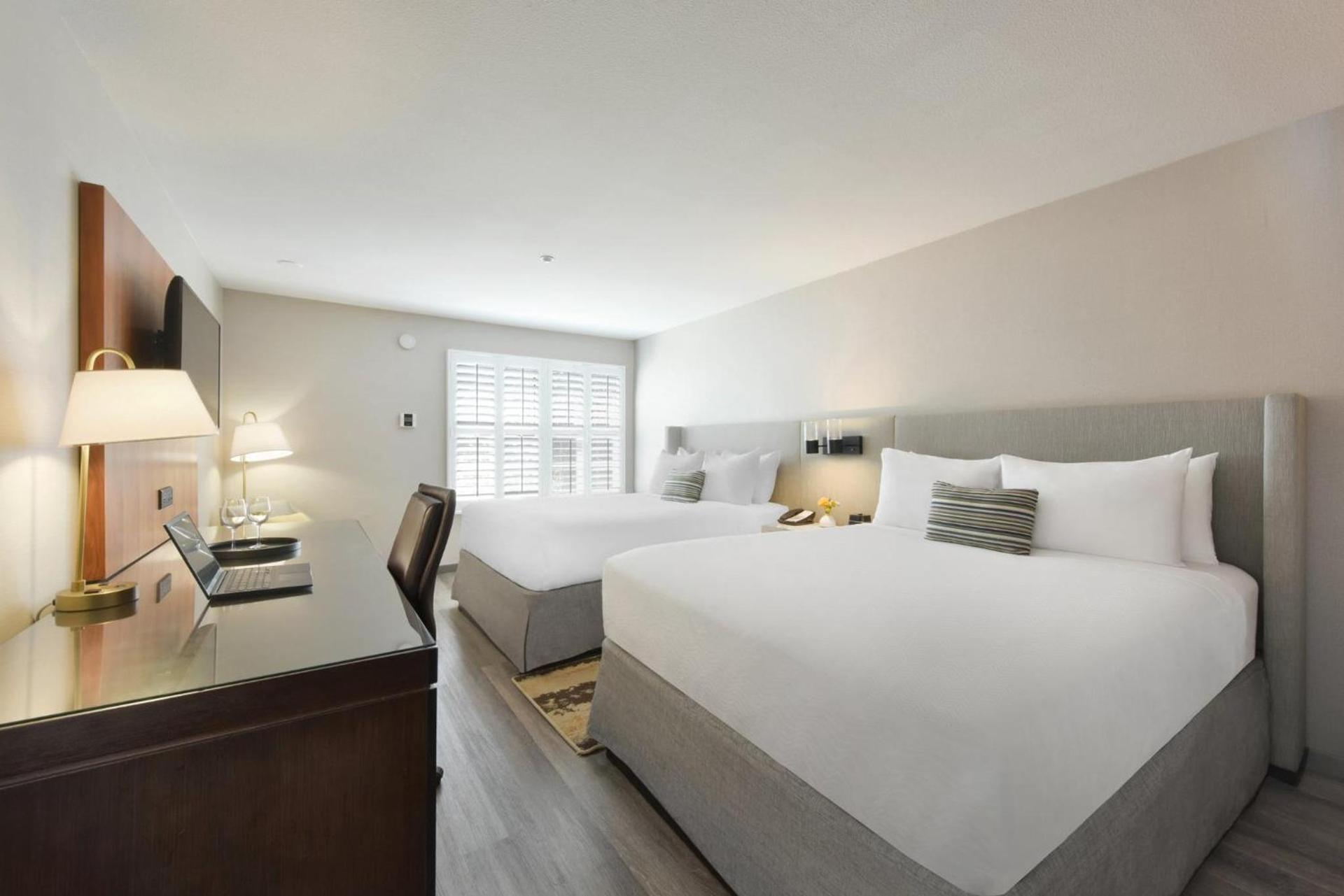 Hotel Indigo Napa Valley by IHG photo 50