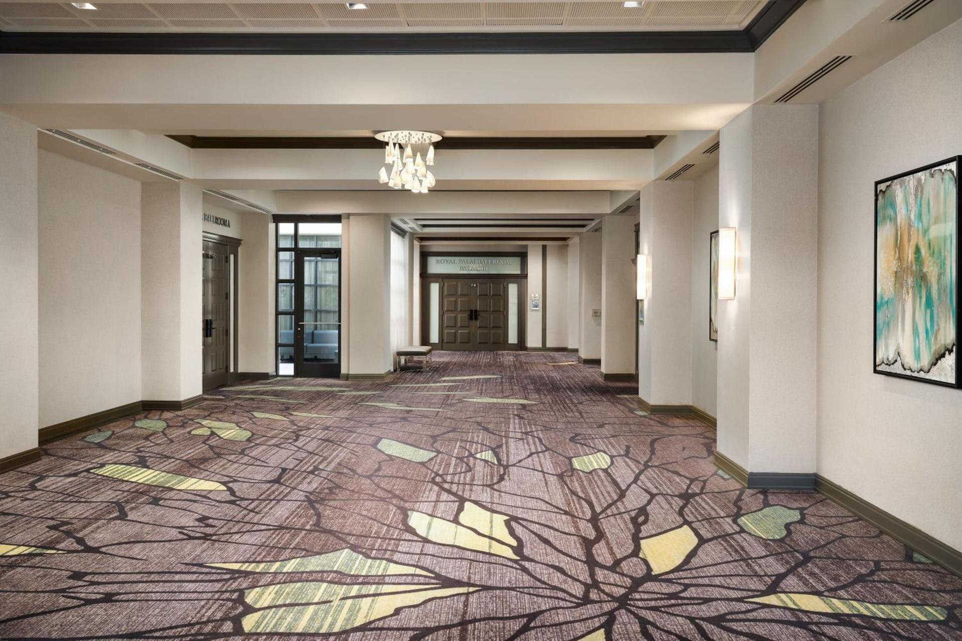 Boca Raton Marriott at Boca Center photo 47
