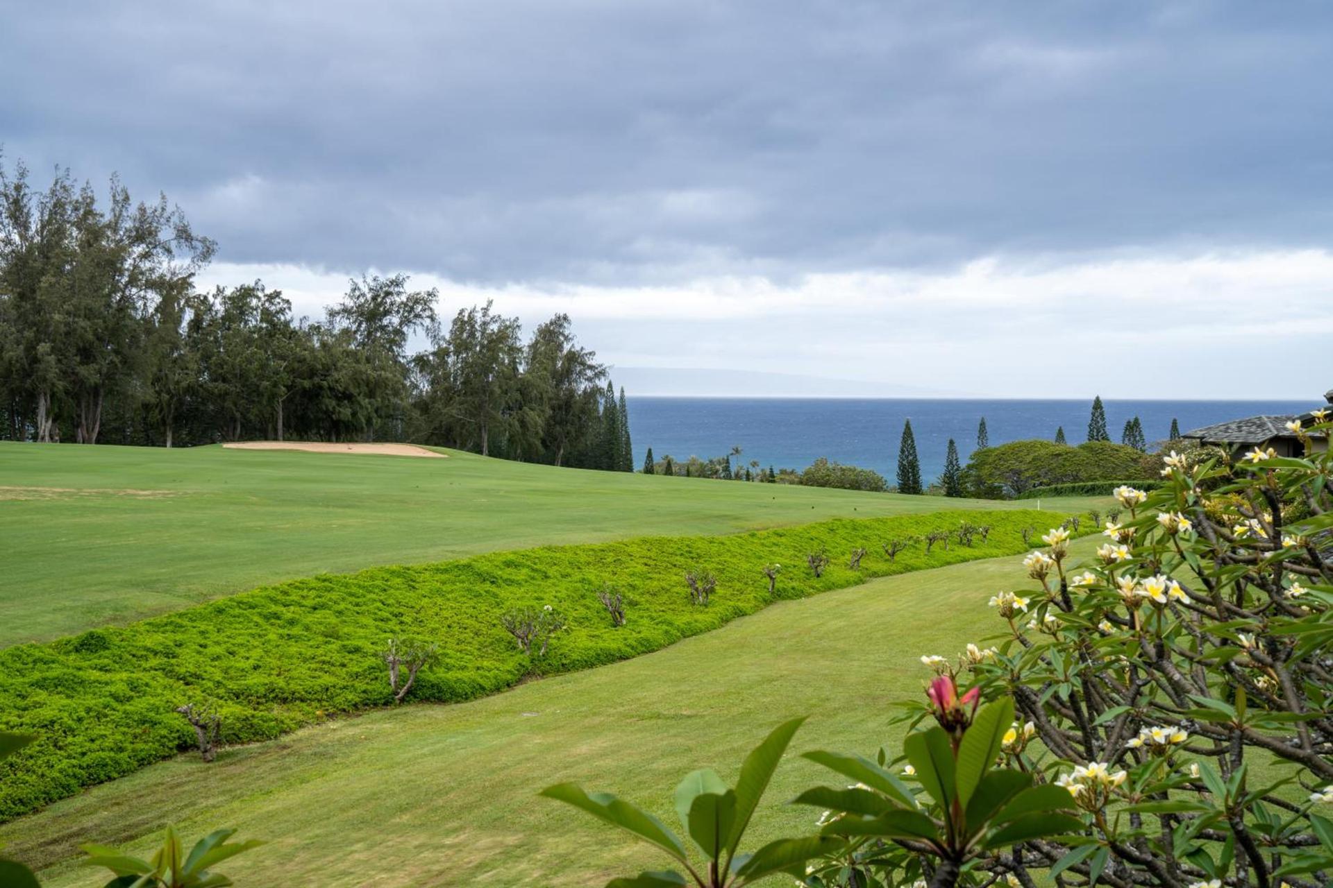 Kapalua Villas Maui photo 13