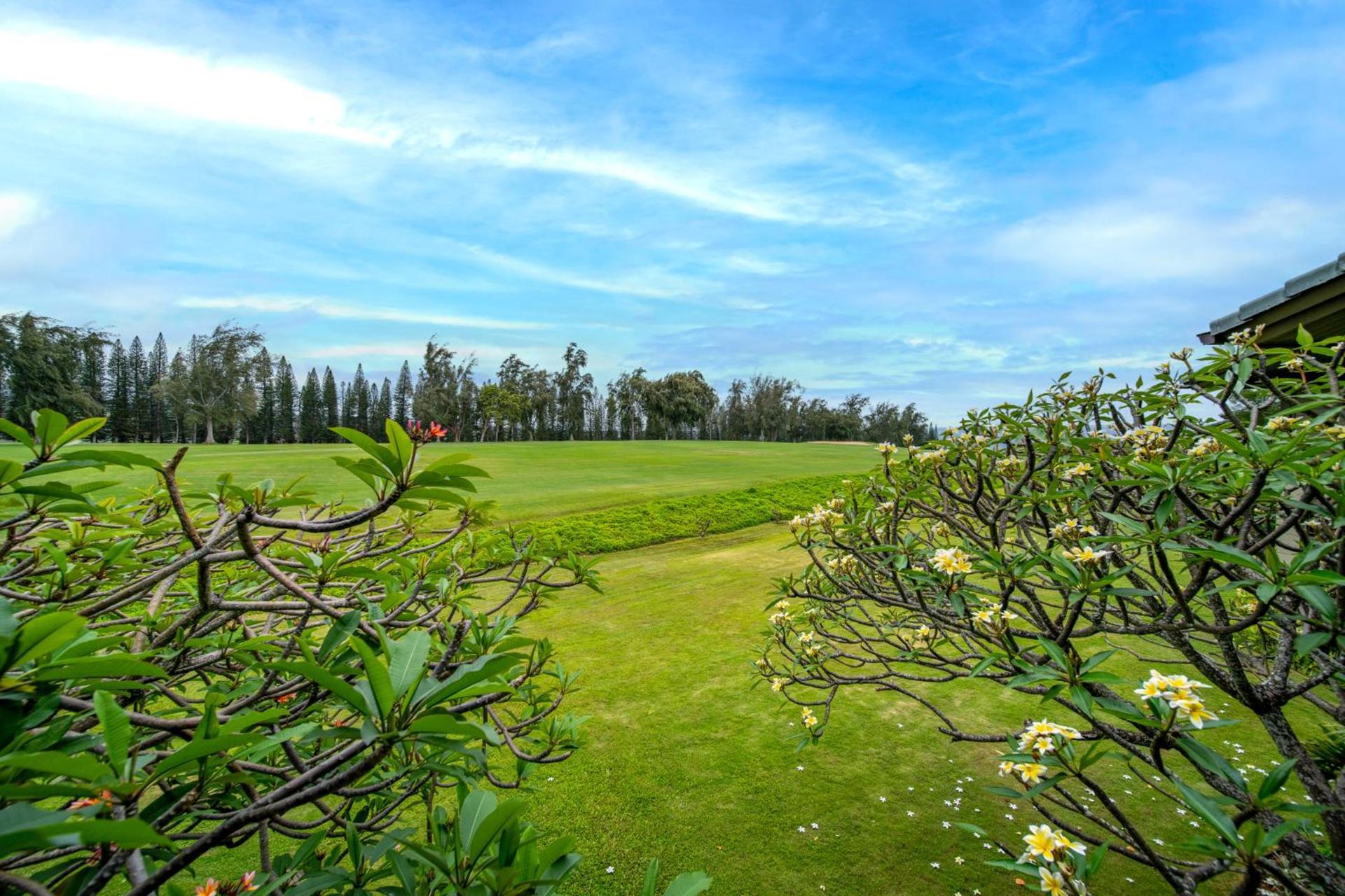 Kapalua Villas Maui photo 20