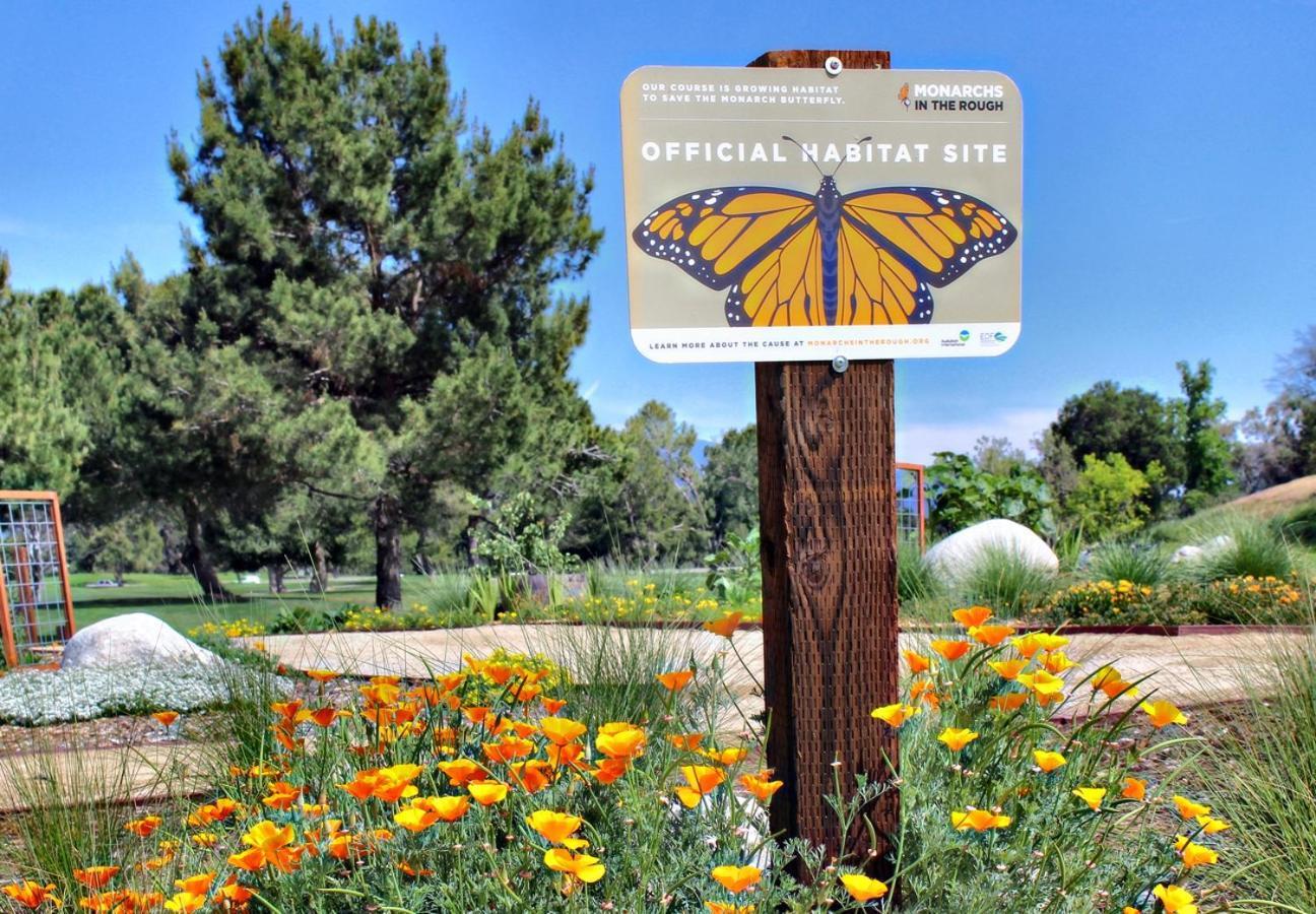 Temecula Creek Inn photo 4