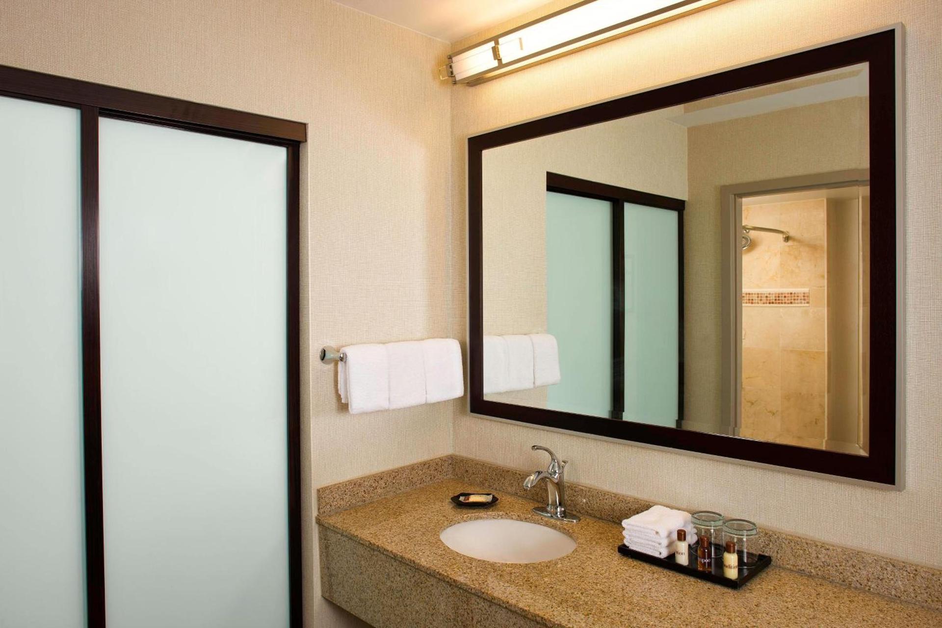Sheraton Suites Orlando Airport Hotel photo 13
