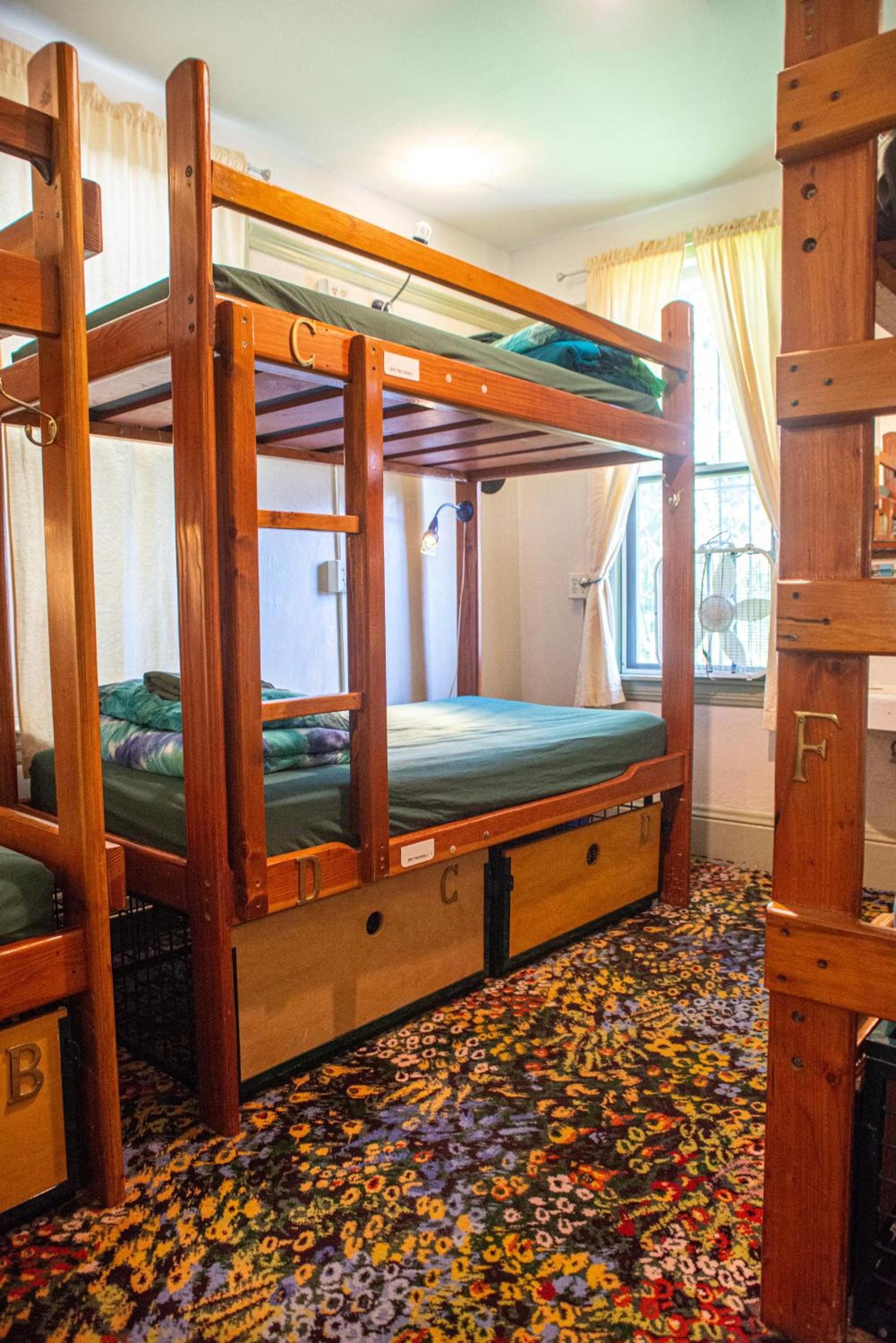 Green Tortoise Hostel photo 17