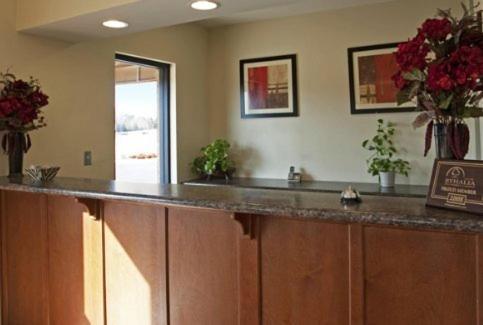 Americas Best Value Inn Byhalia photo 4