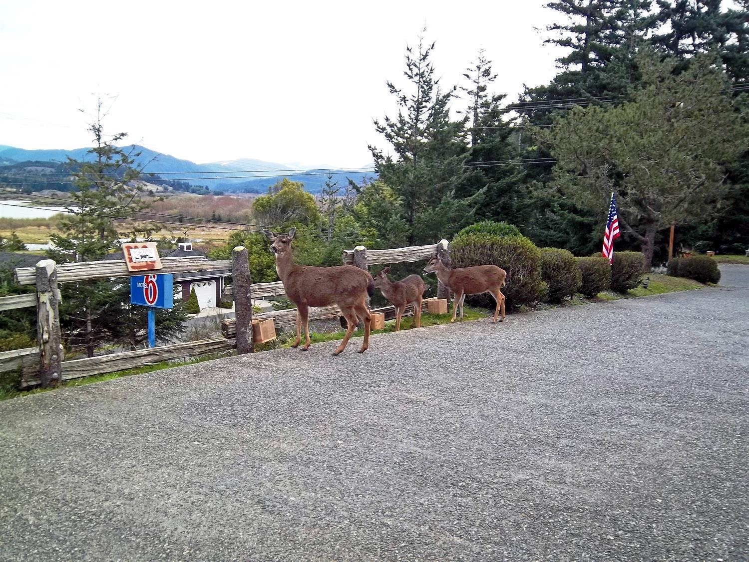 Motel 6 Gold Beach photo 43