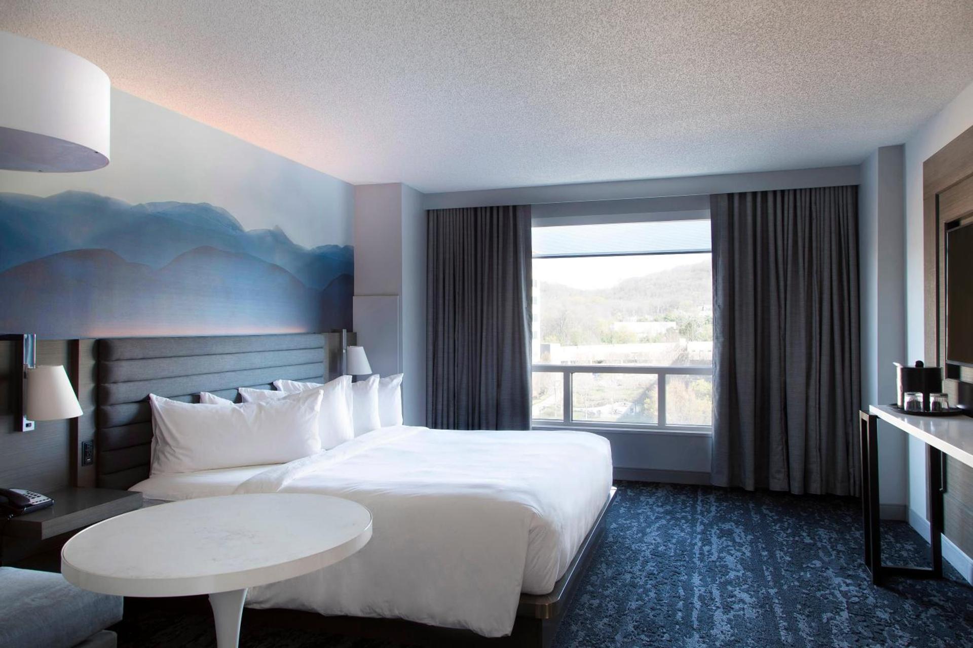 Franklin Marriott Cool Springs photo 48