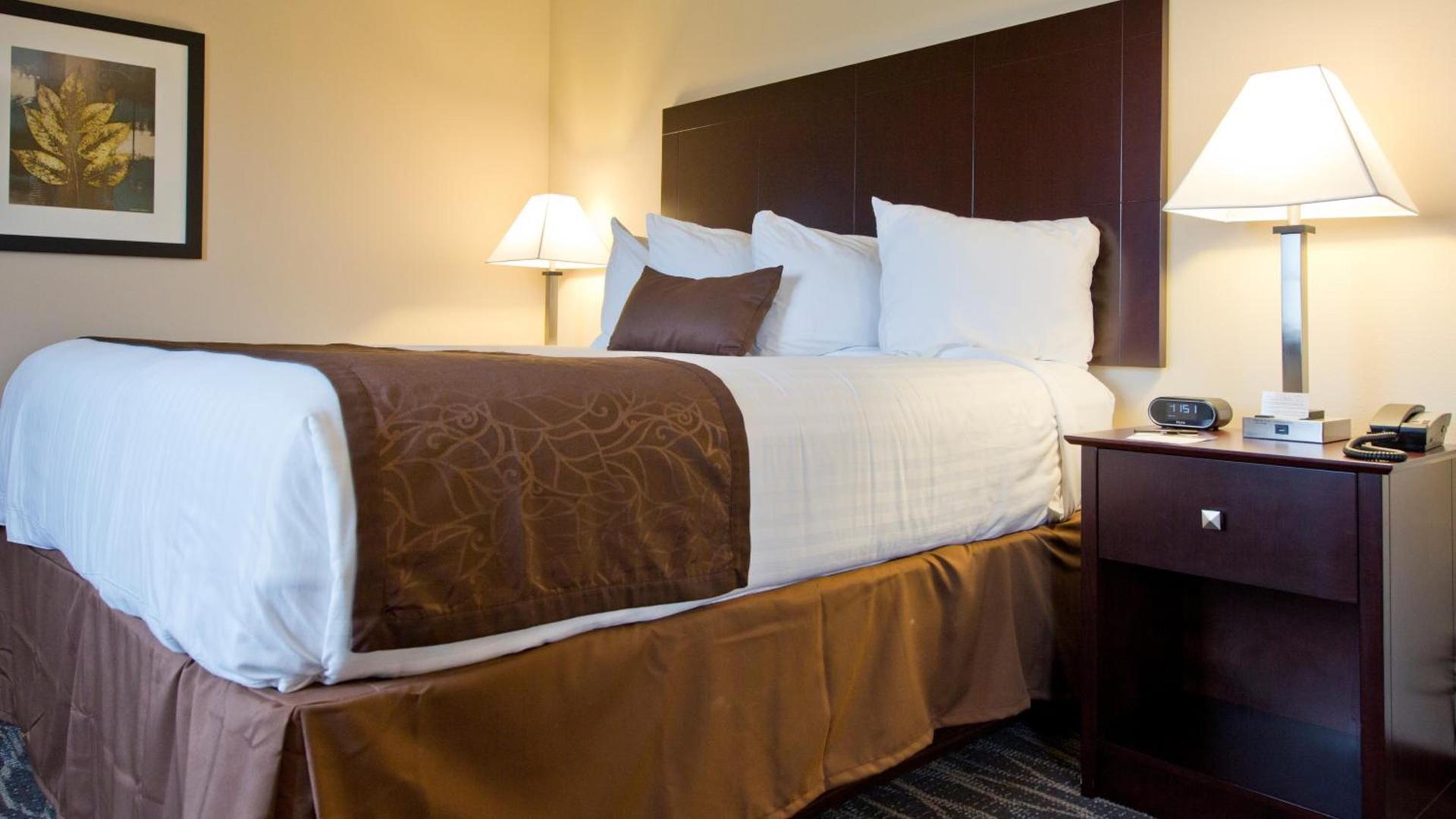 Cobblestone Inn & Suites - Boone photo 62