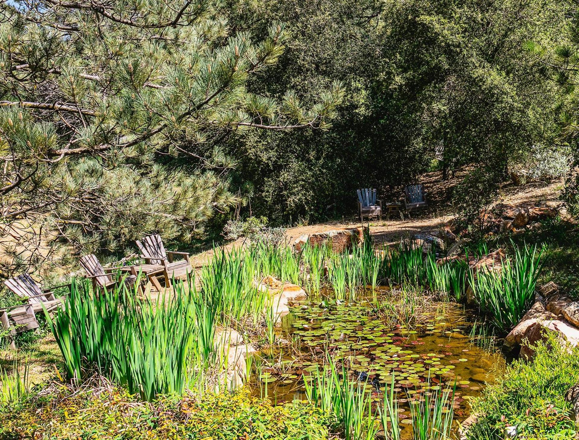 Orchard Hill photo 94