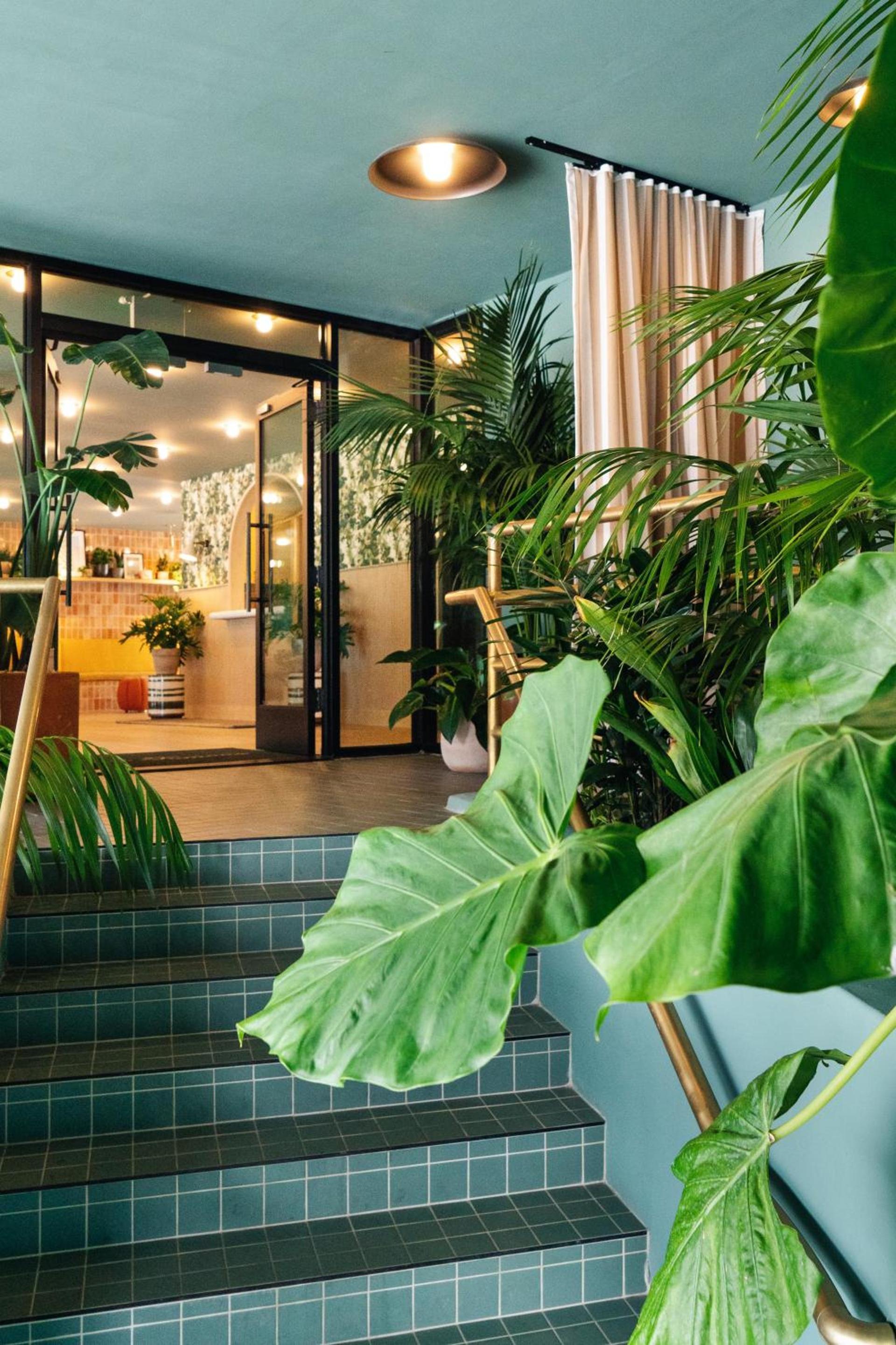 Palihotel Hollywood near Universal Studios photo 3