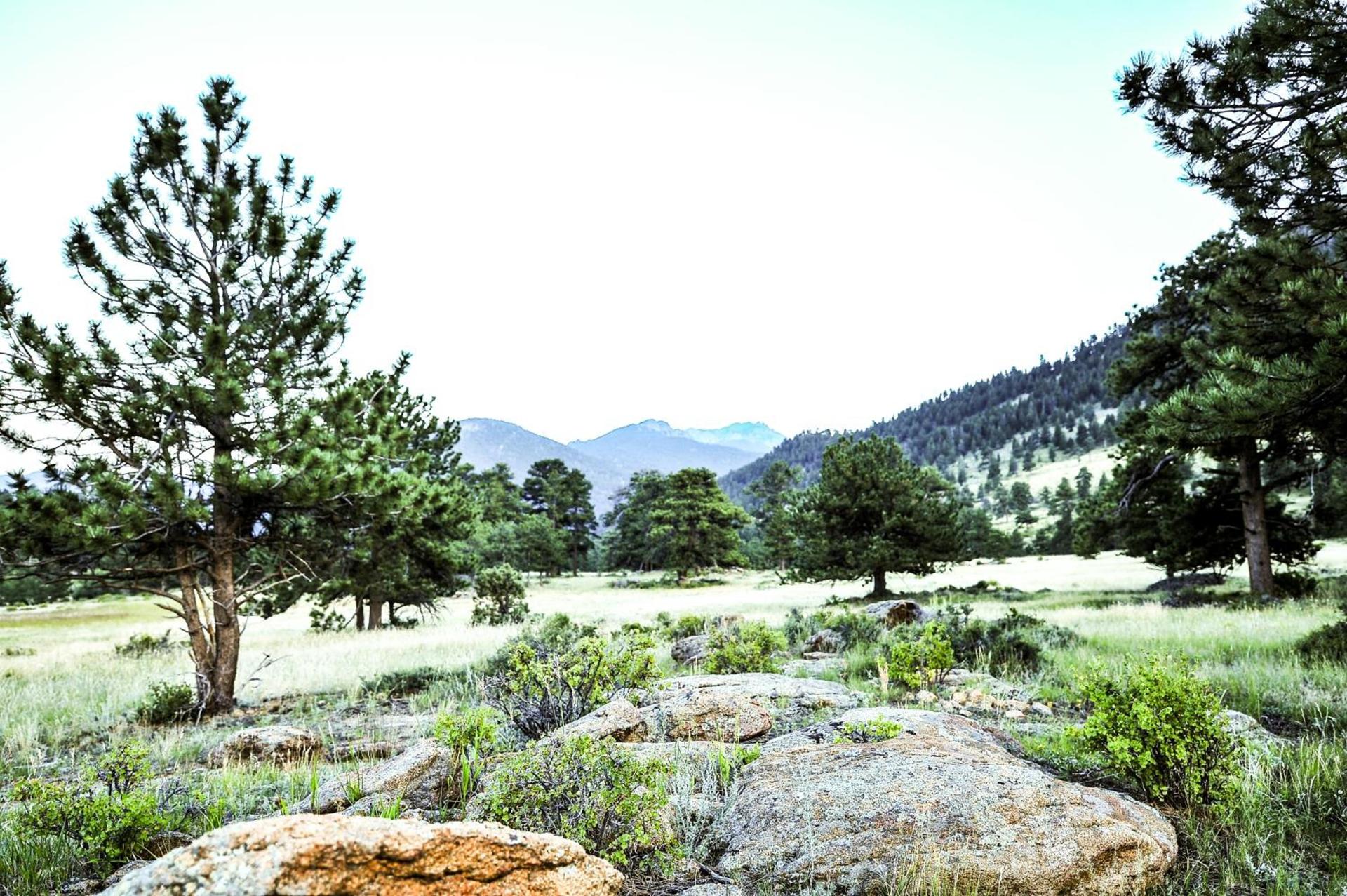 The Historic Crag's Lodge photo 26