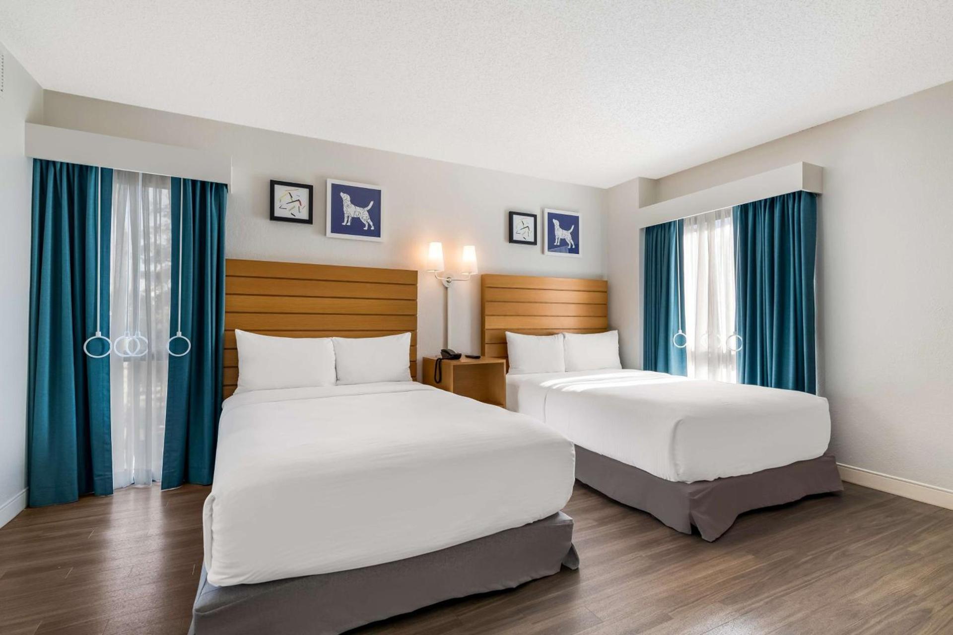 Sonesta ES Suites Orlando International Drive photo 10
