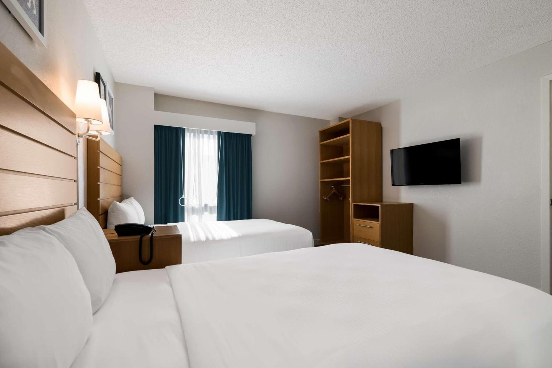 Sonesta ES Suites Orlando International Drive photo 11