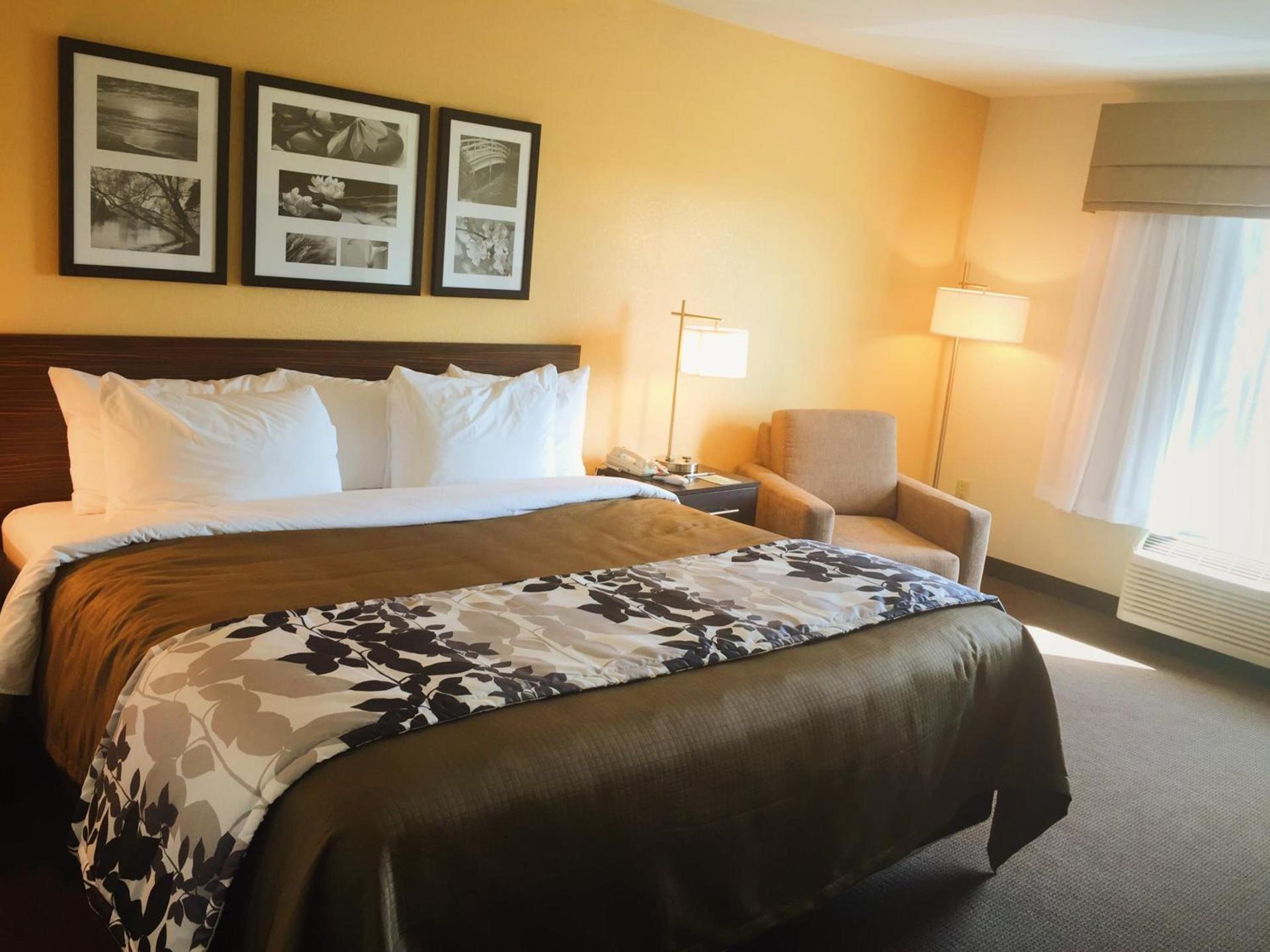 Sleep Inn & Suites Carlsbad Caverns Area photo 59