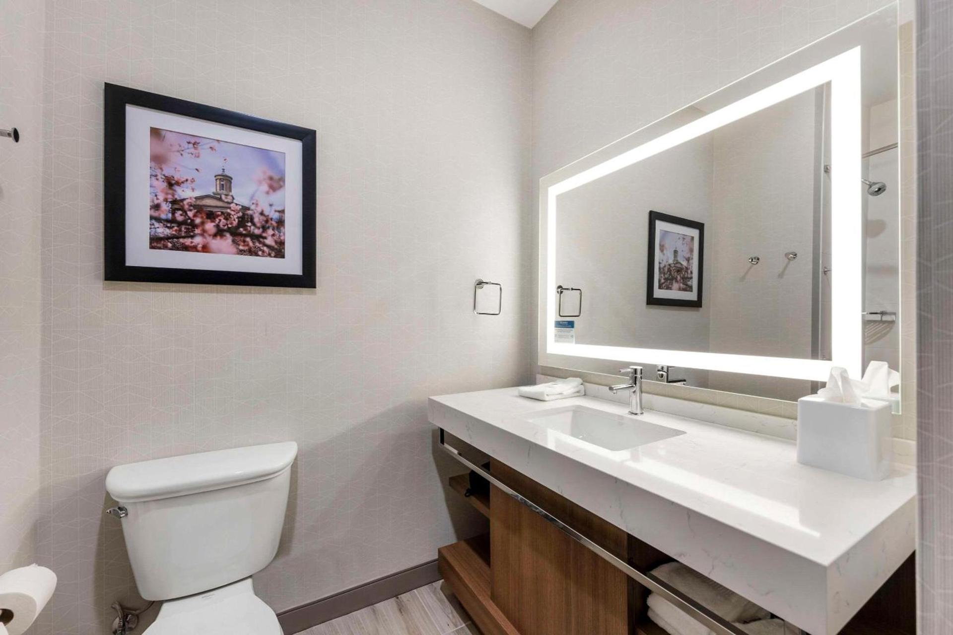 Comfort Inn & Suites Gallatin - Nashville Metro photo 12