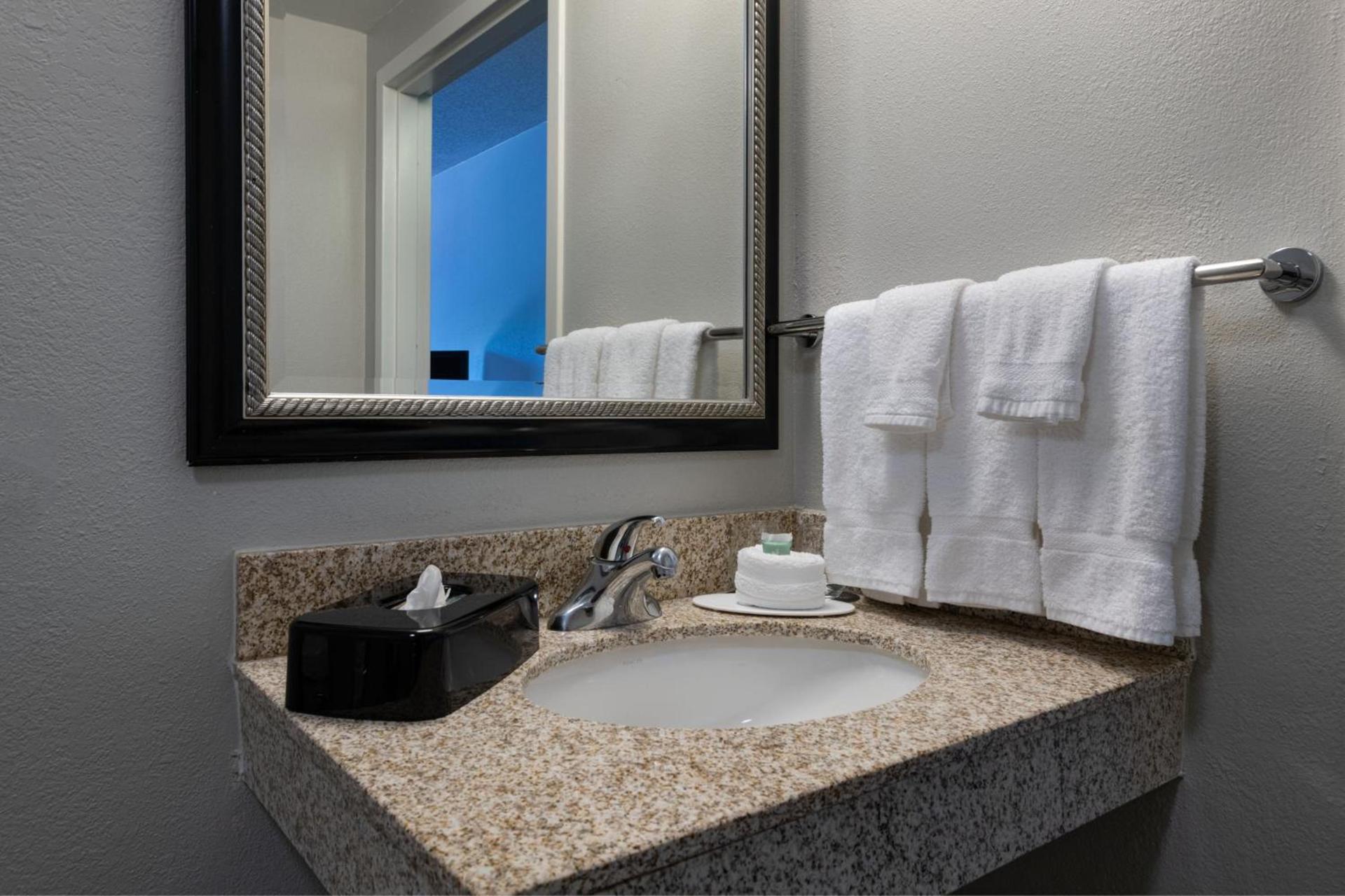 Courtyard by Marriott Dallas Arlington Entertainment District photo 11