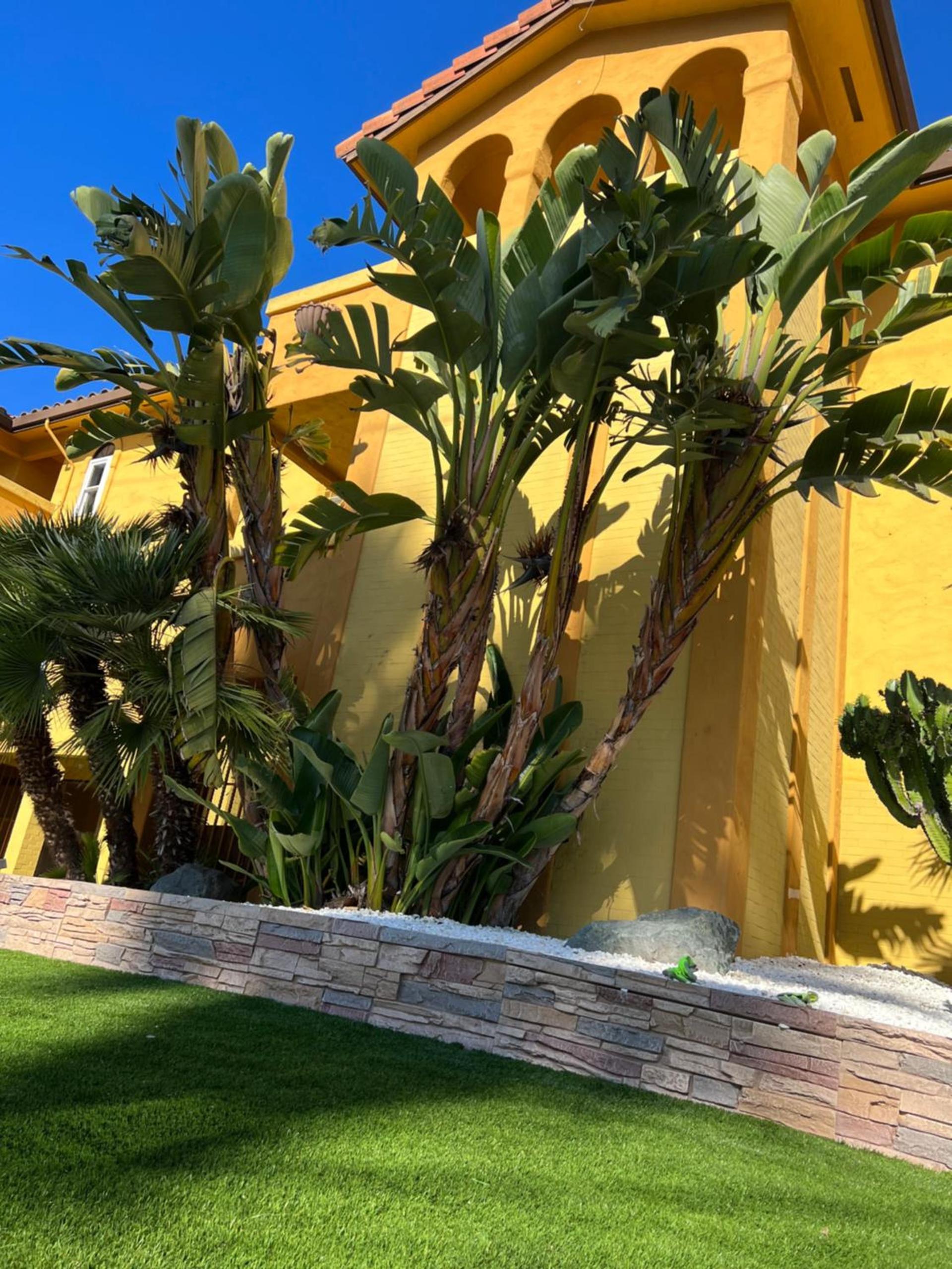 The Aqua Pacific Hotel photo 2