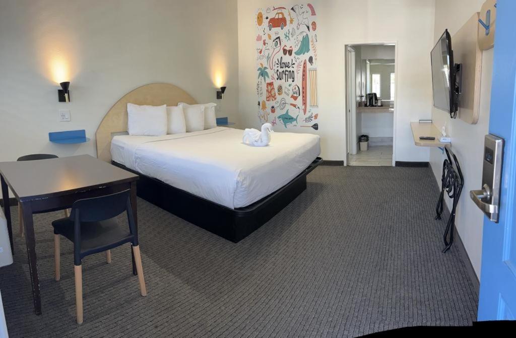 Ocean Palms Motel photo 9