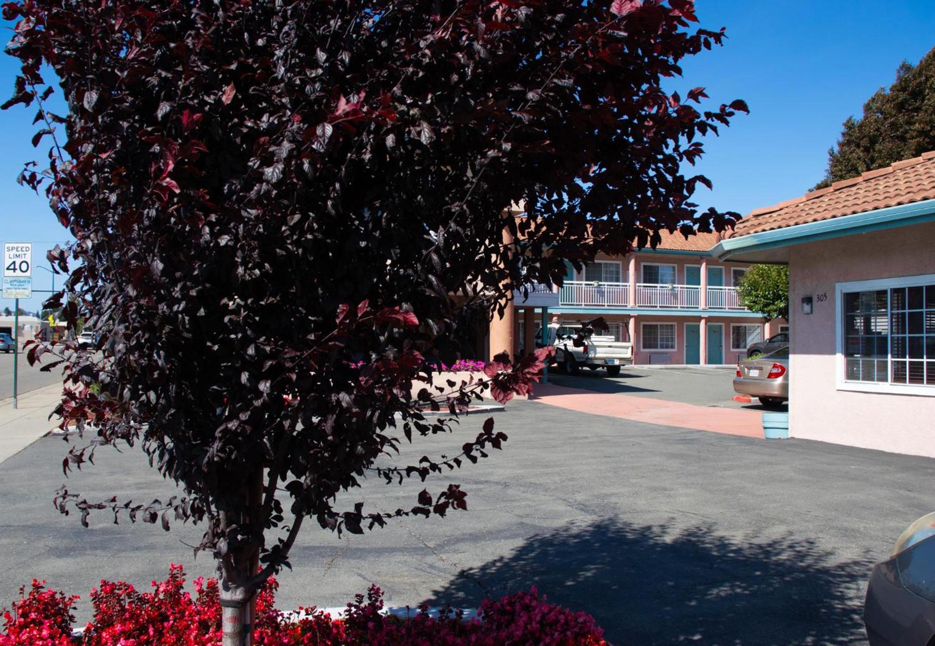 Discovery Inn photo 35