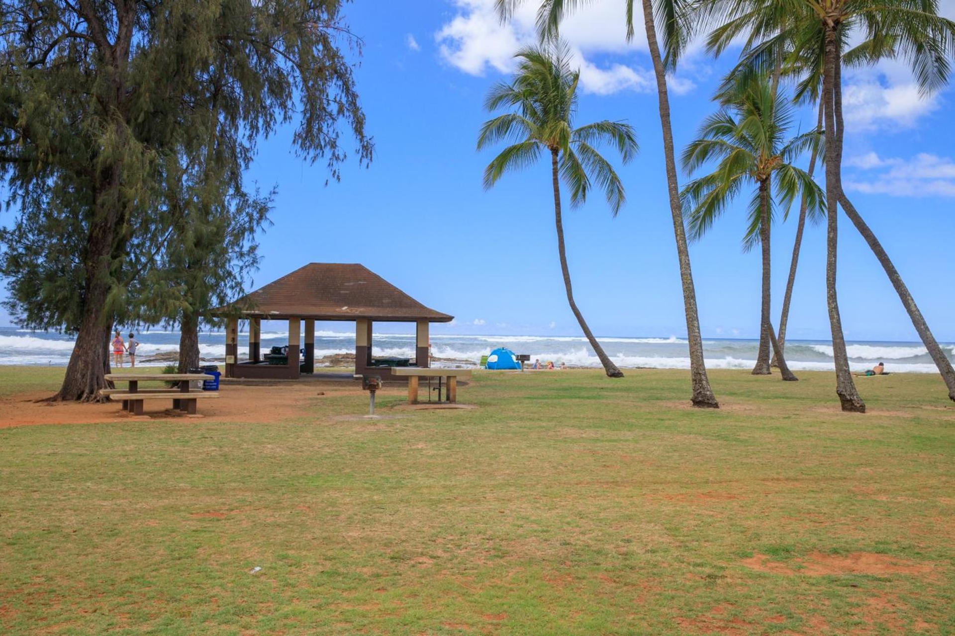 2 Bedroom Kapaa Condo with Pool and AC 115 photo 20