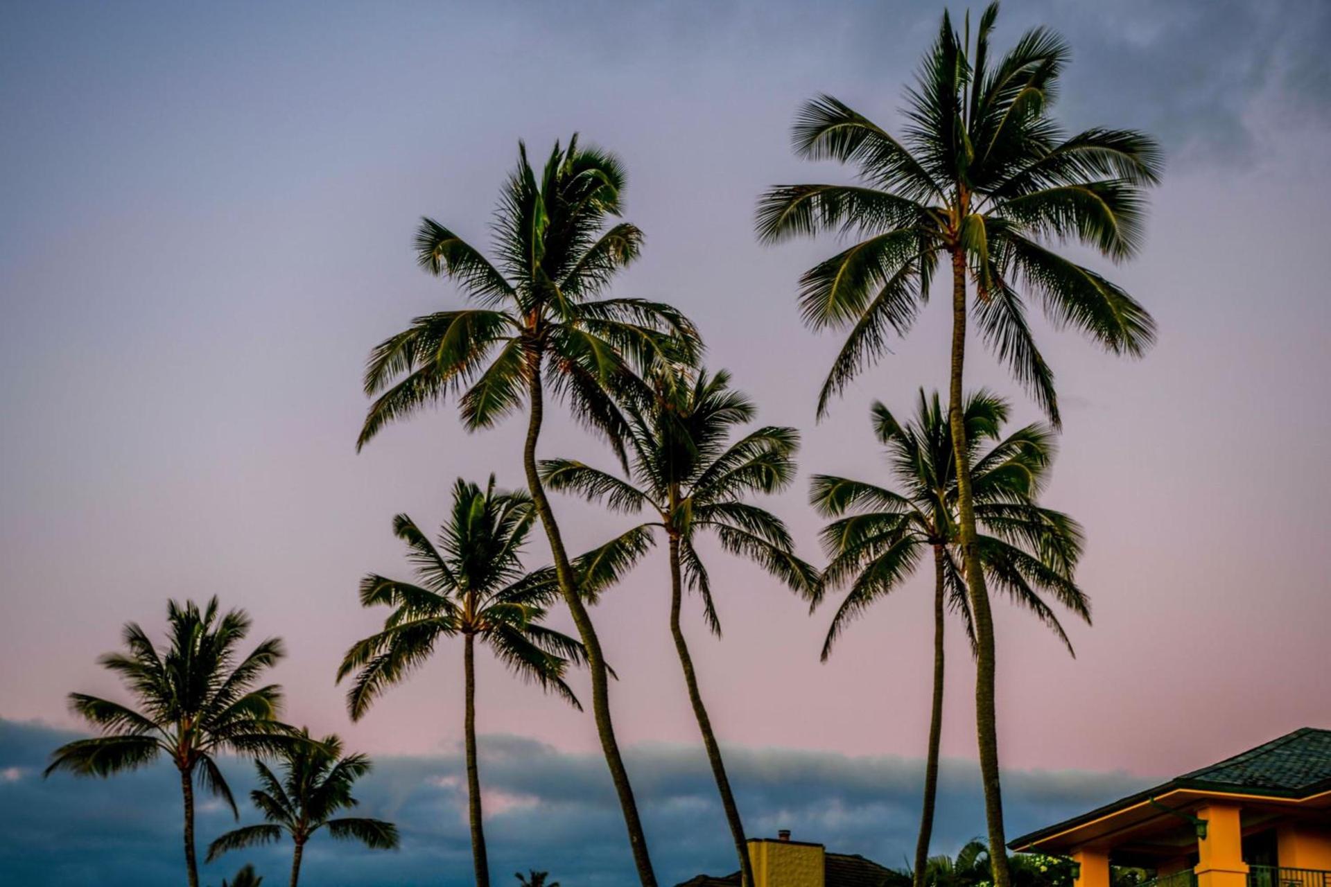 The Ritz-Carlton Maui, Kapalua photo 17