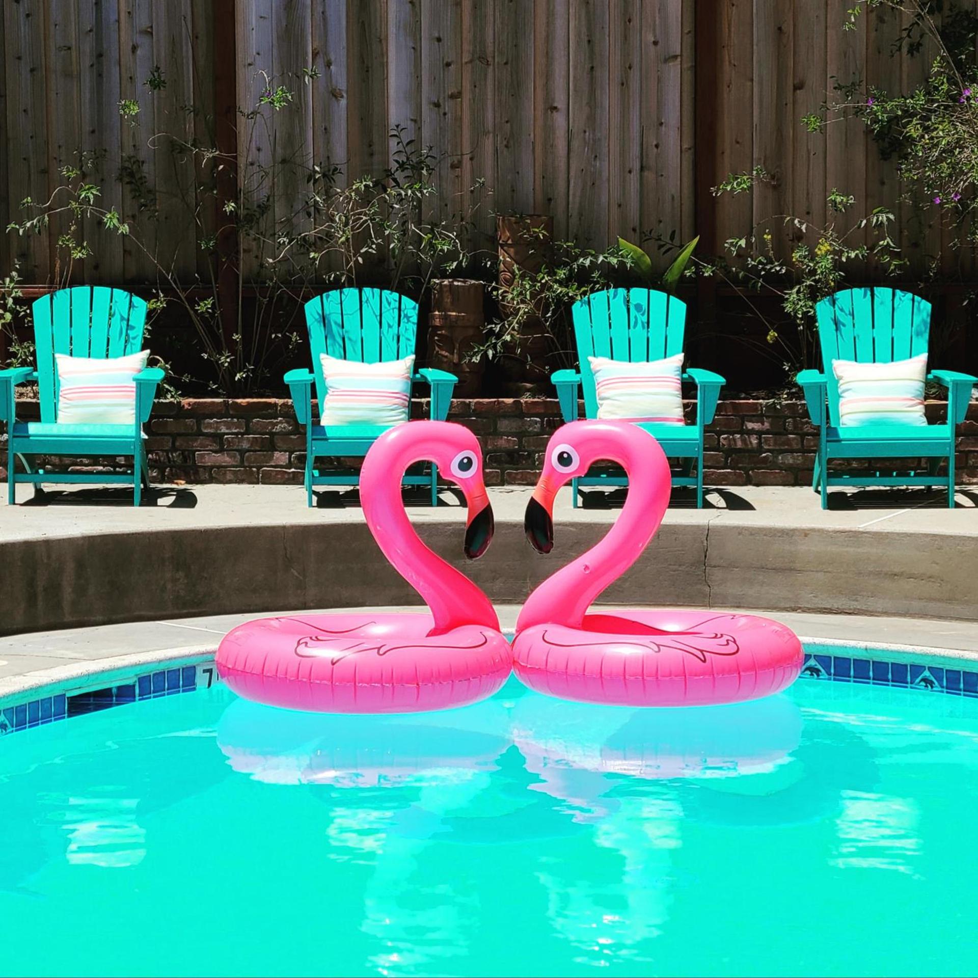 Sunny Cove Motel photo 3