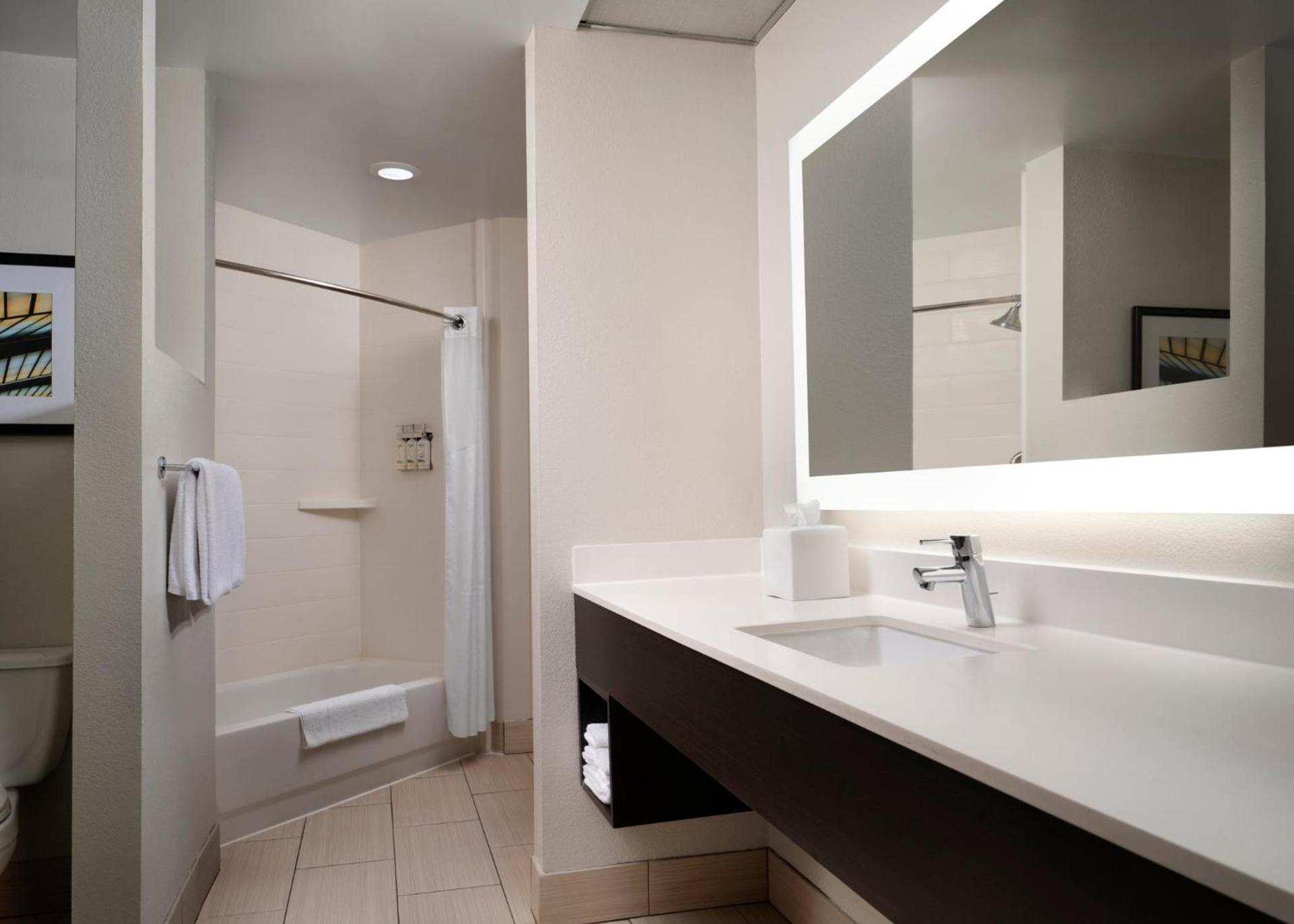 Holiday Inn Express and Suites New Orleans Airport by IHG photo 20