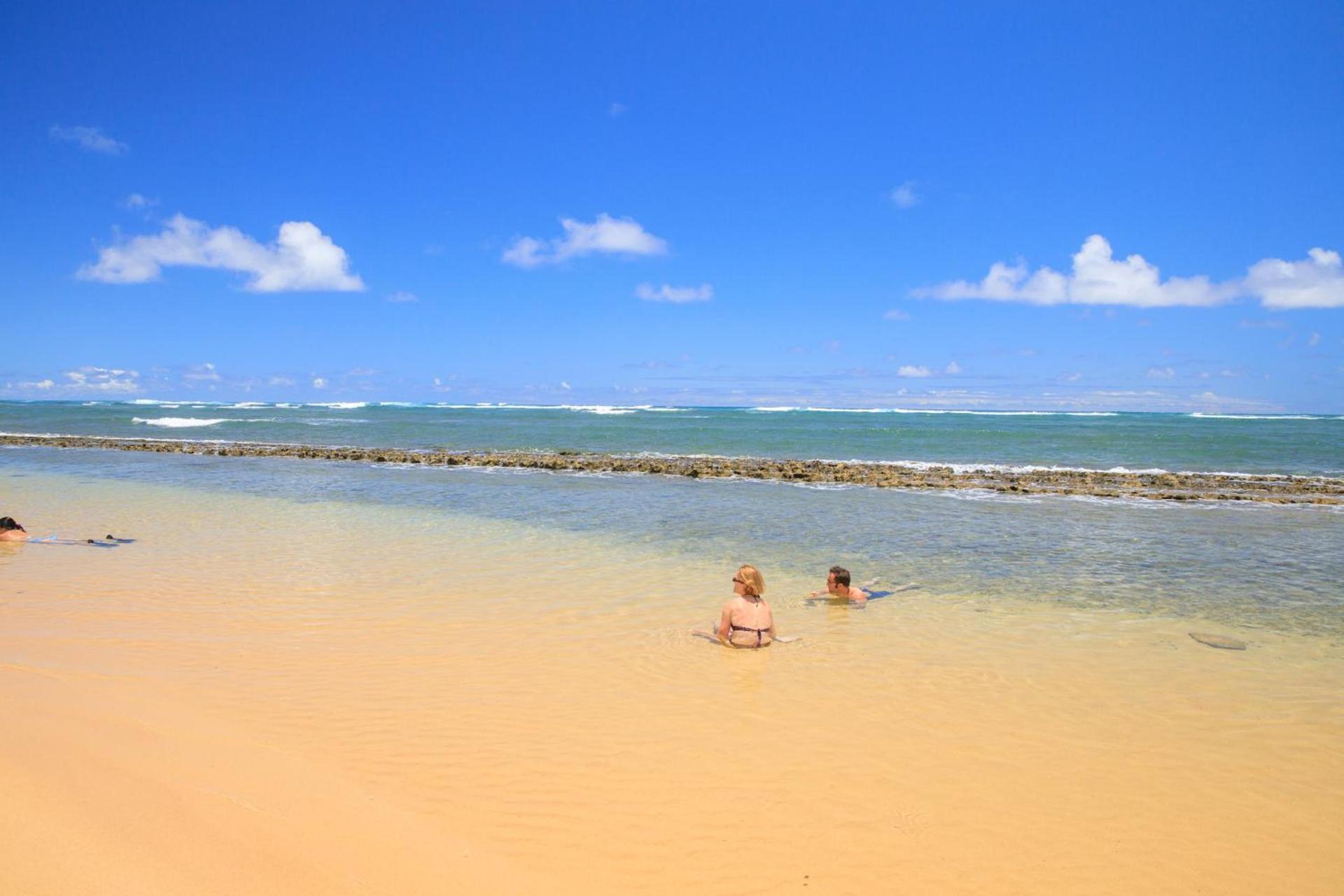 Oceanfront 1 BR Condo at Kaha Lani KL309 photo 7