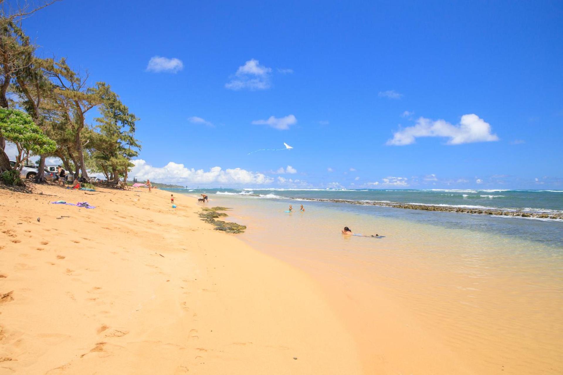 Oceanfront 1 BR Condo at Kaha Lani KL309 photo 11