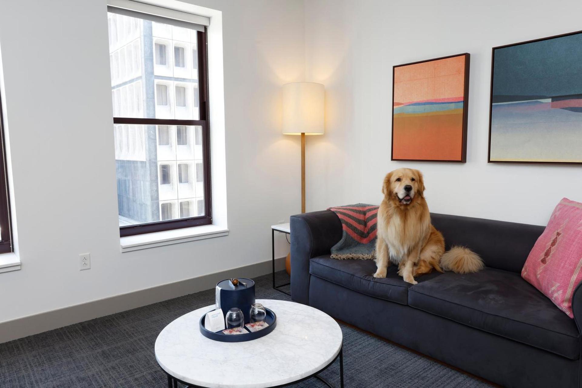 Kimpton Schofield Hotel by IHG photo 32