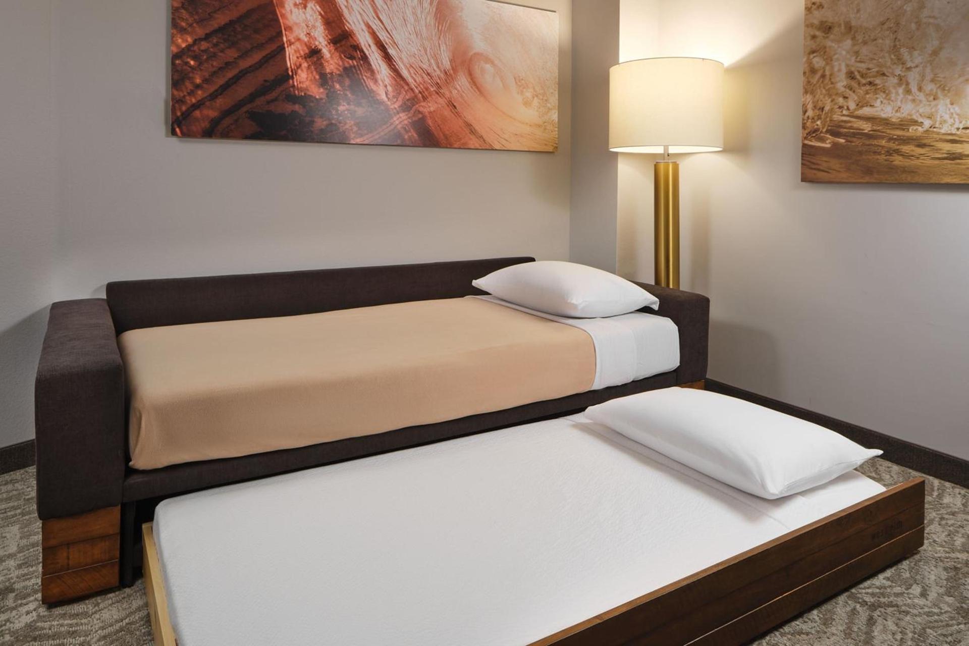 SpringHill Suites by Marriott Jacksonville Baymeadows photo 4
