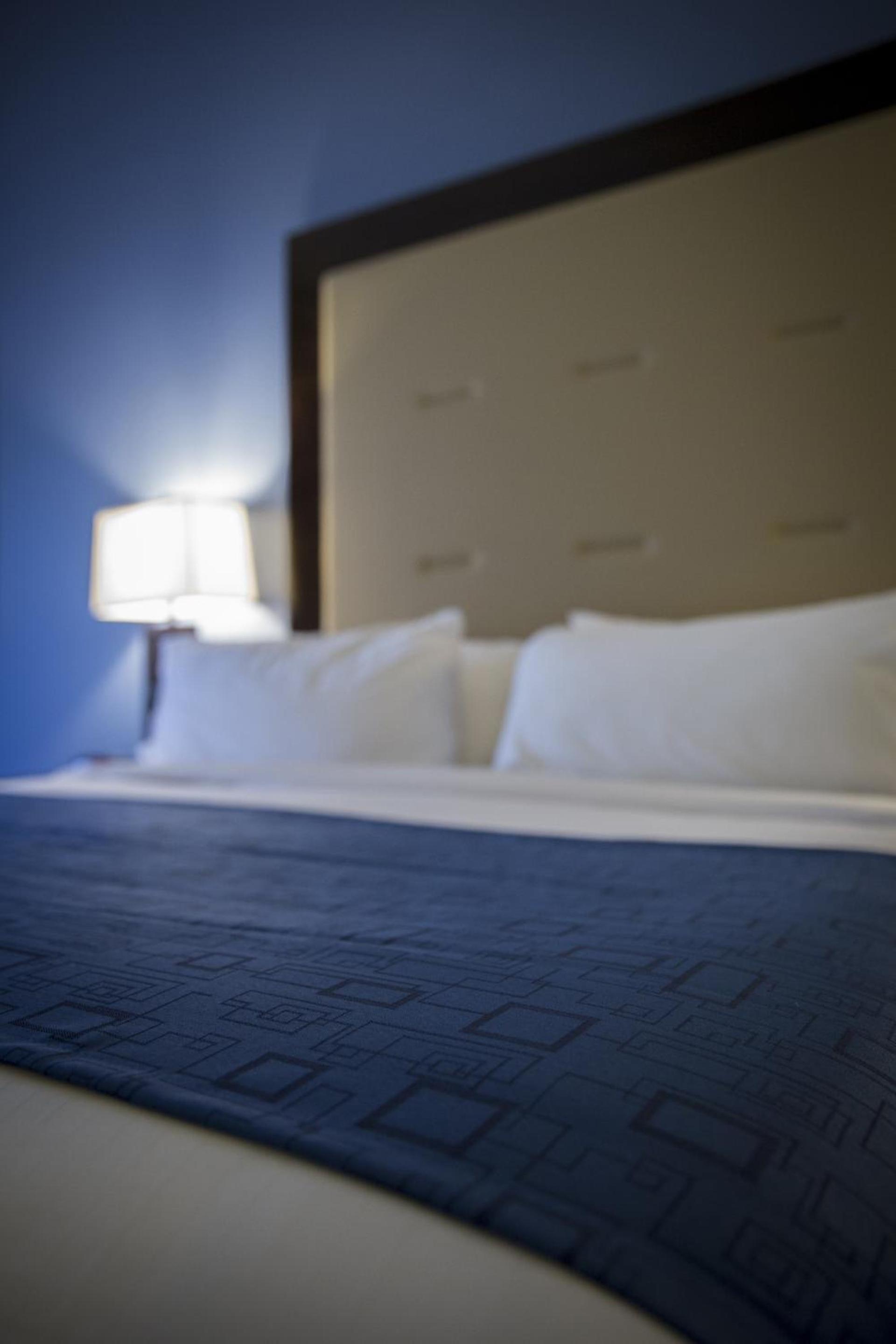 Holiday Inn Express and Suites Edwardsville by IHG photo 5