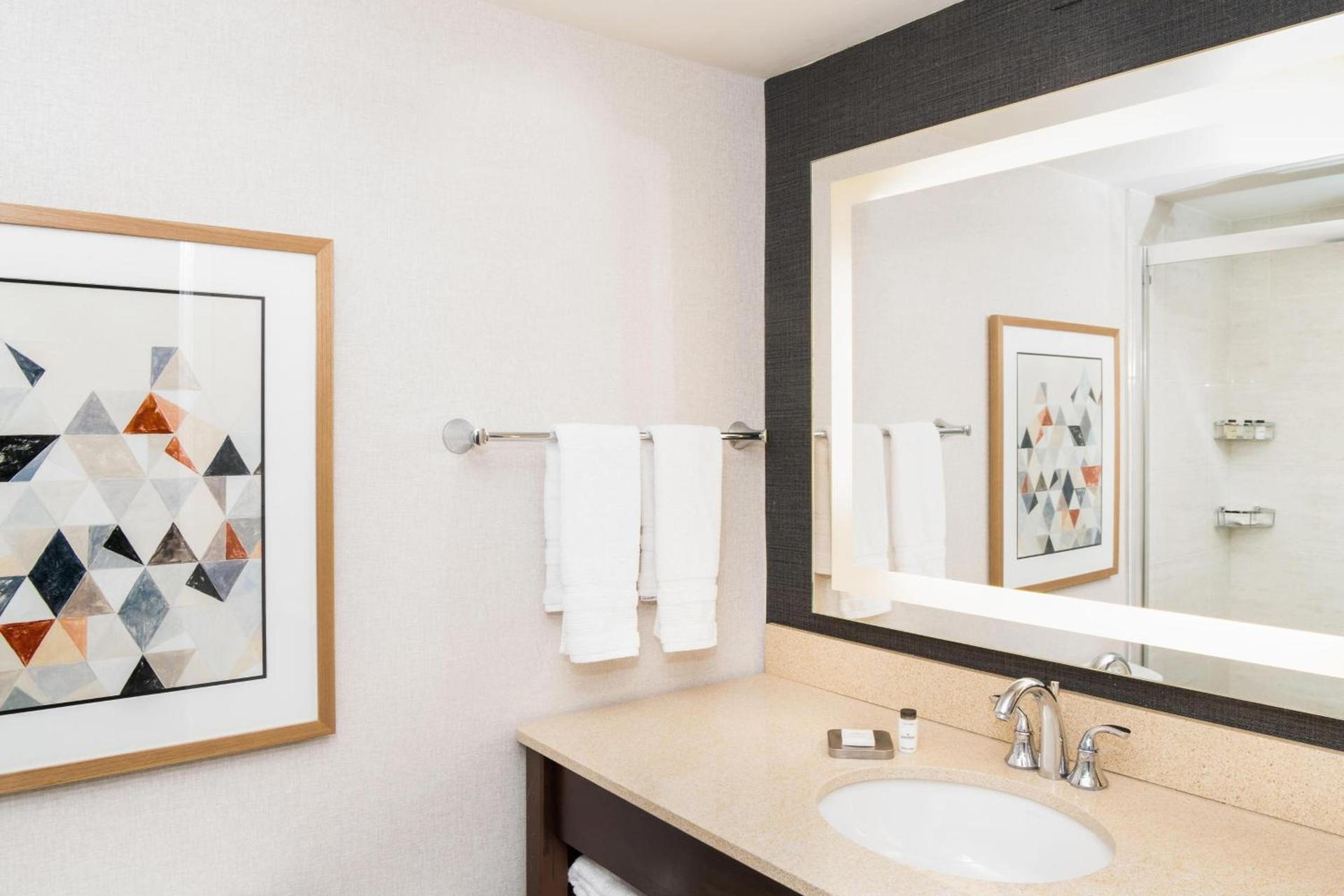 Sheraton Ann Arbor Hotel photo 23