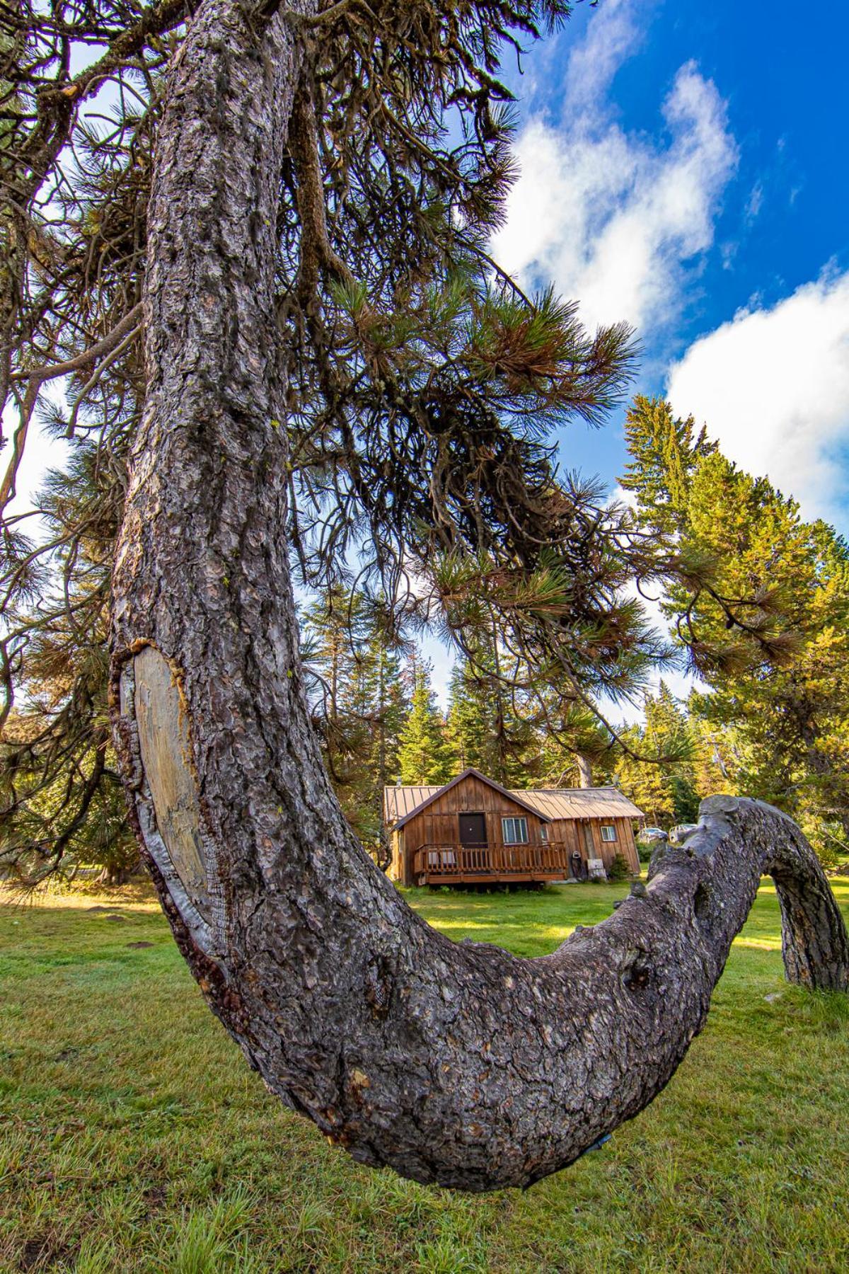 Cooper Spur Mountain Resort photo 55