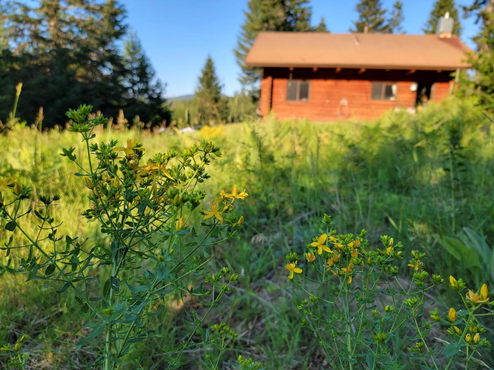 Cooper Spur Mountain Resort photo 66