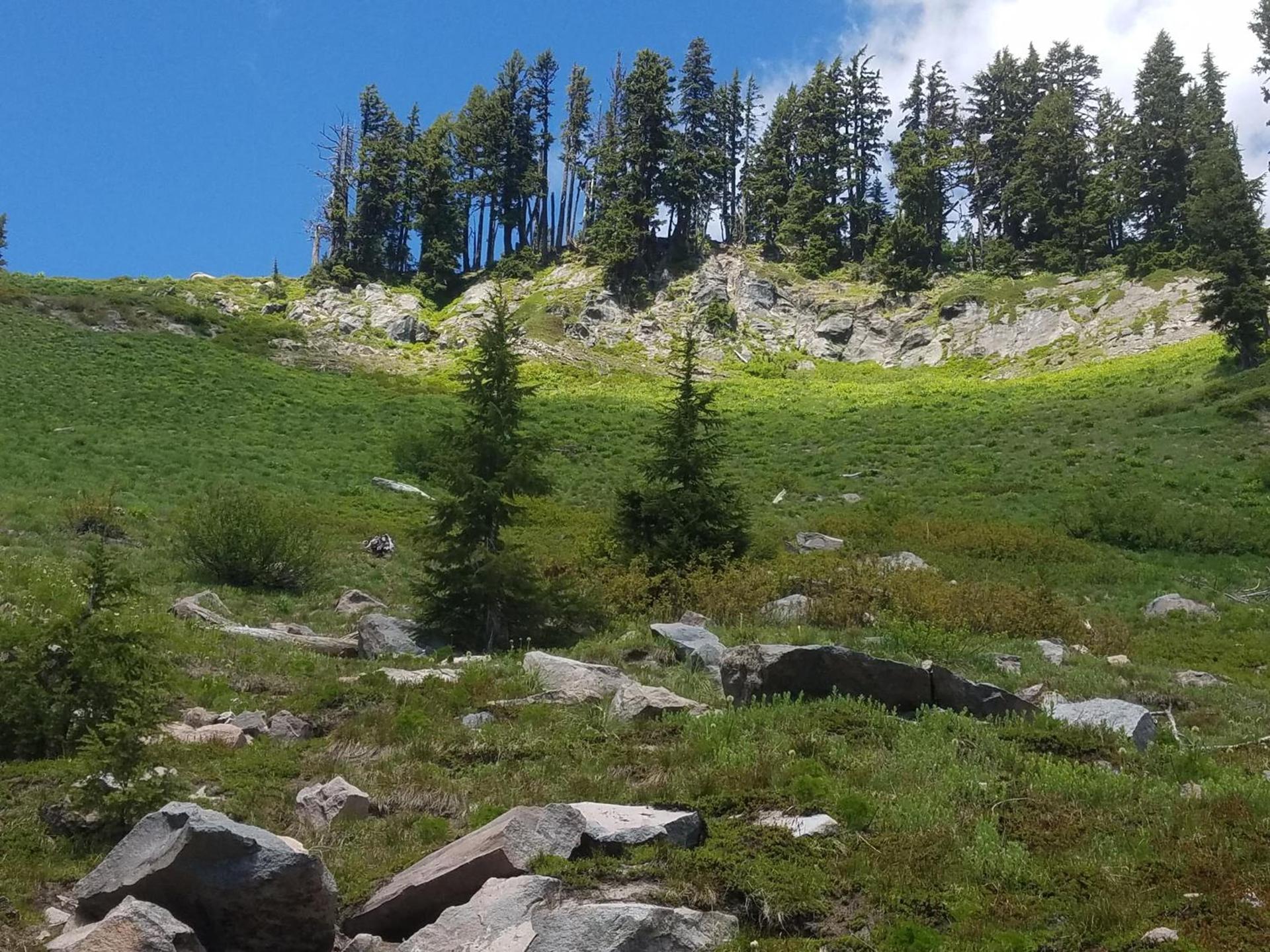 Cooper Spur Mountain Resort photo 79
