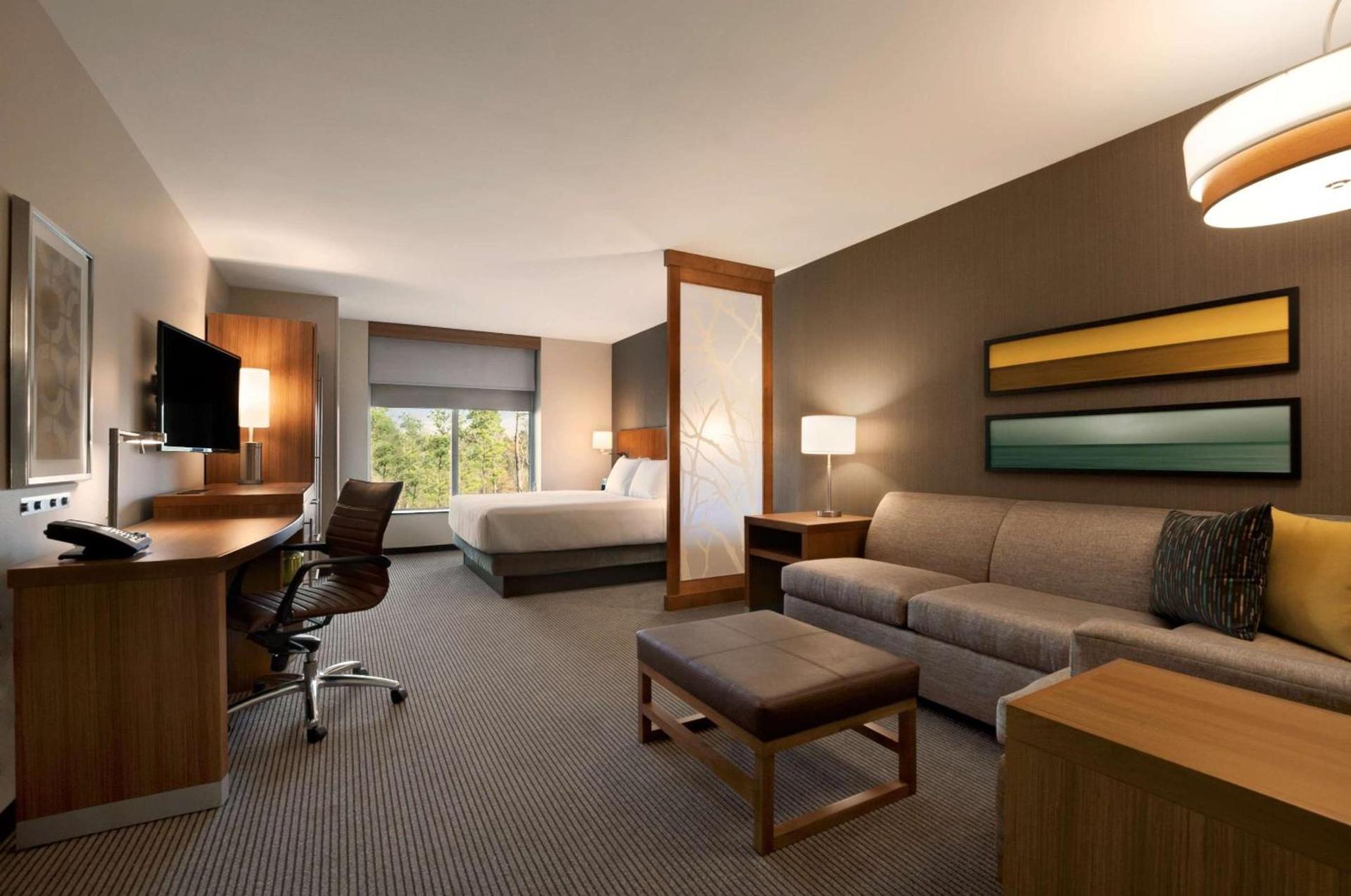 Hyatt Place Houston/The Woodlands photo 28