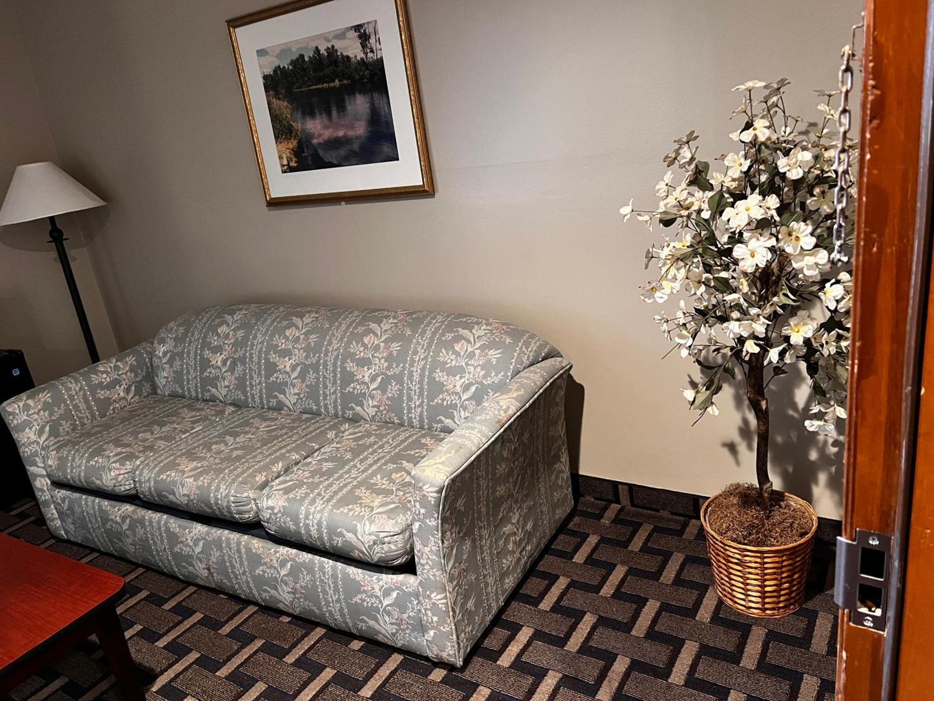 Sky Lodge Inn & Suites - Delavan photo 58