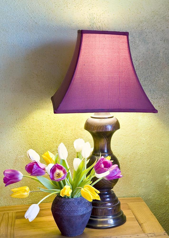Casa Gallina - An Artisan Inn photo 25
