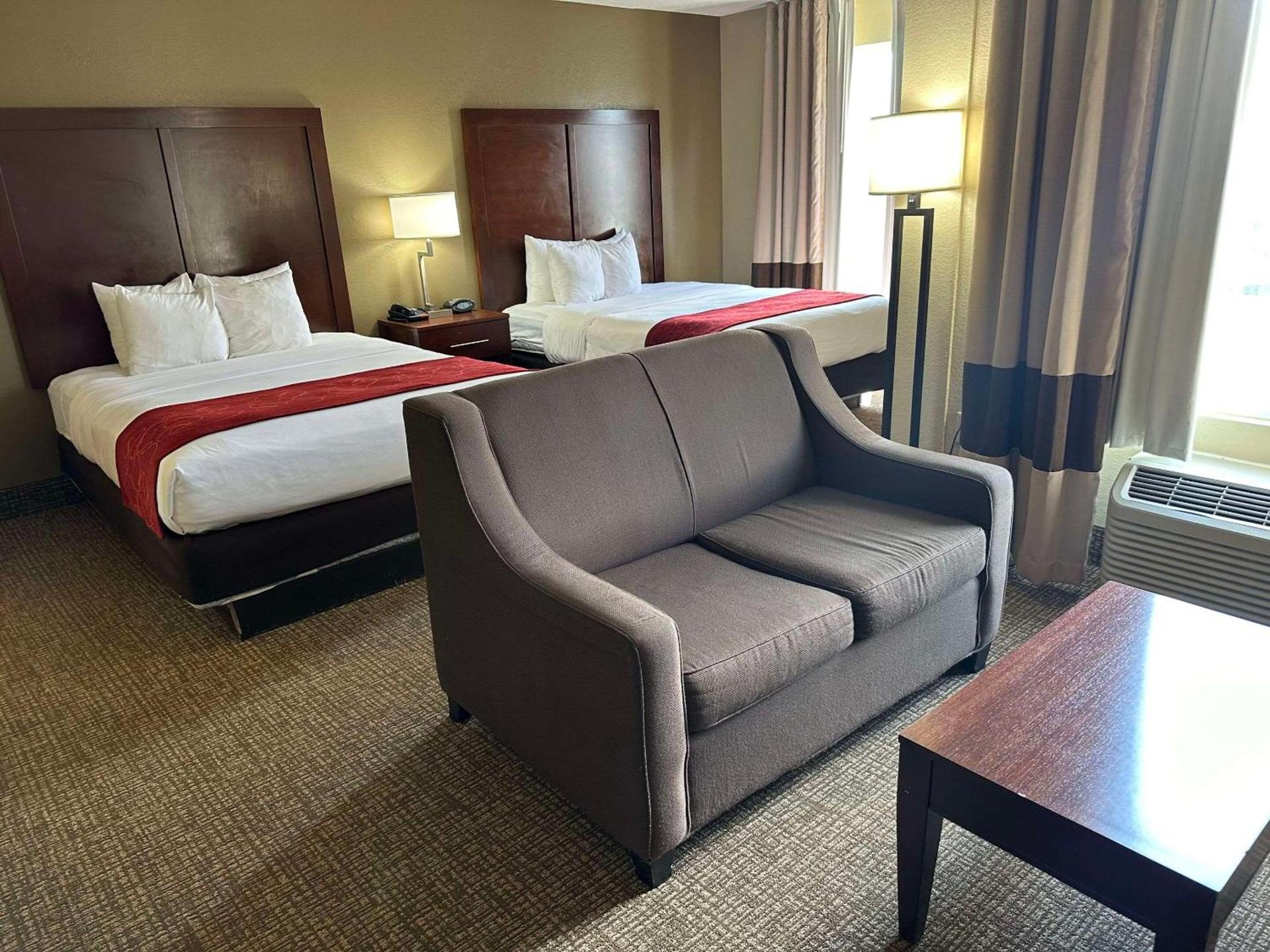 Charlotte Suites by IHG photo 8