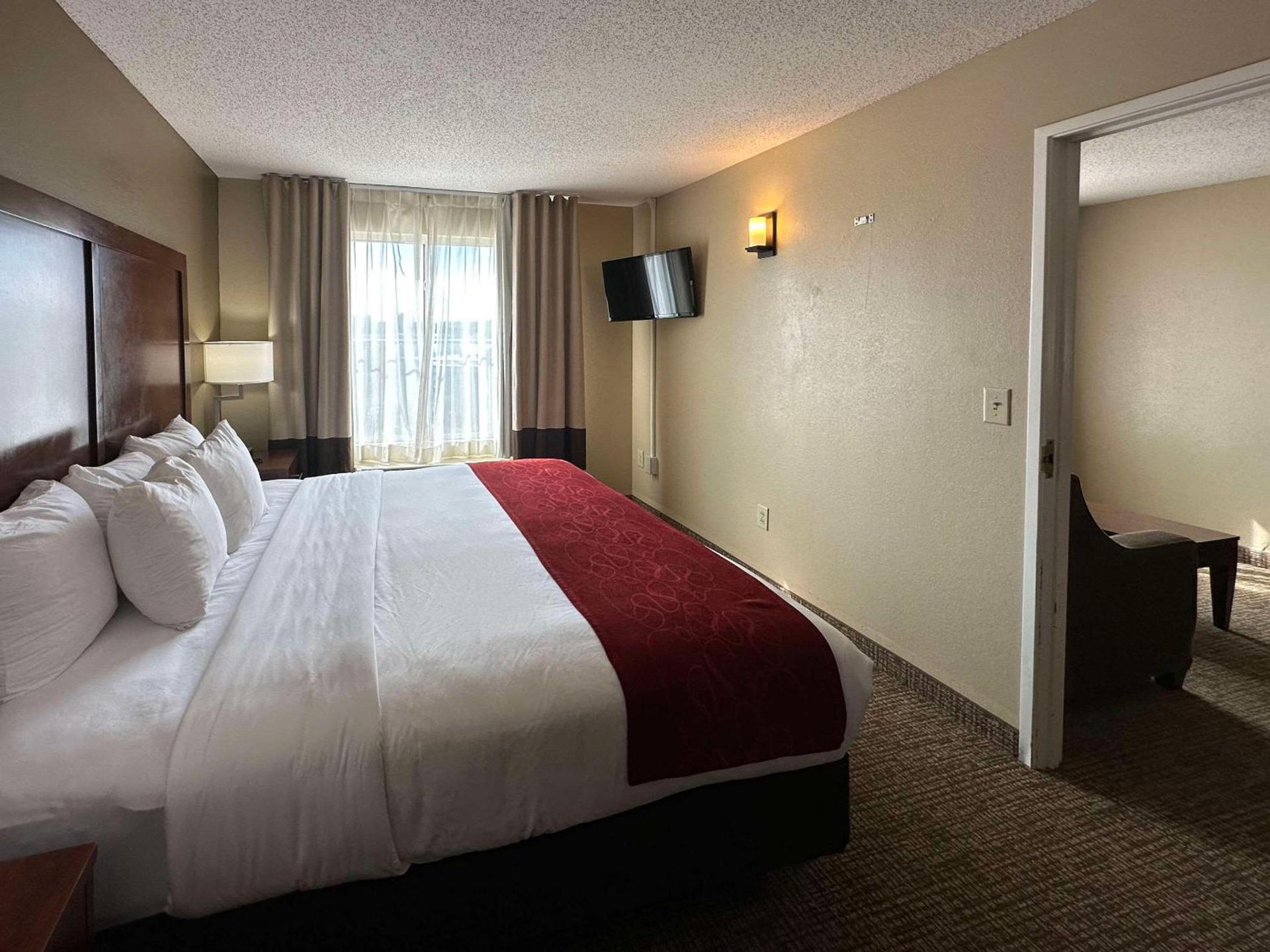 Charlotte Suites by IHG photo 10