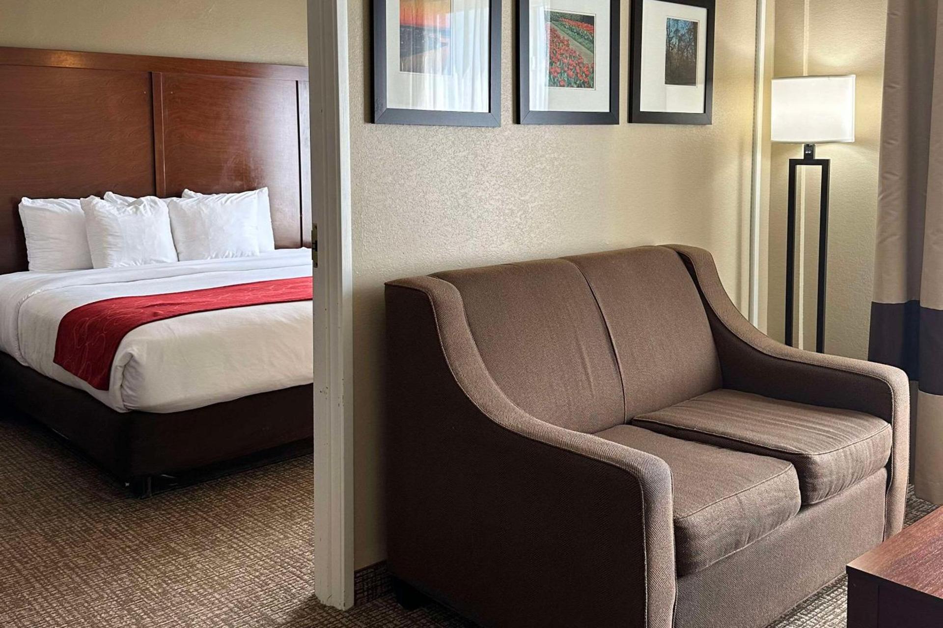 Charlotte Suites by IHG photo 11