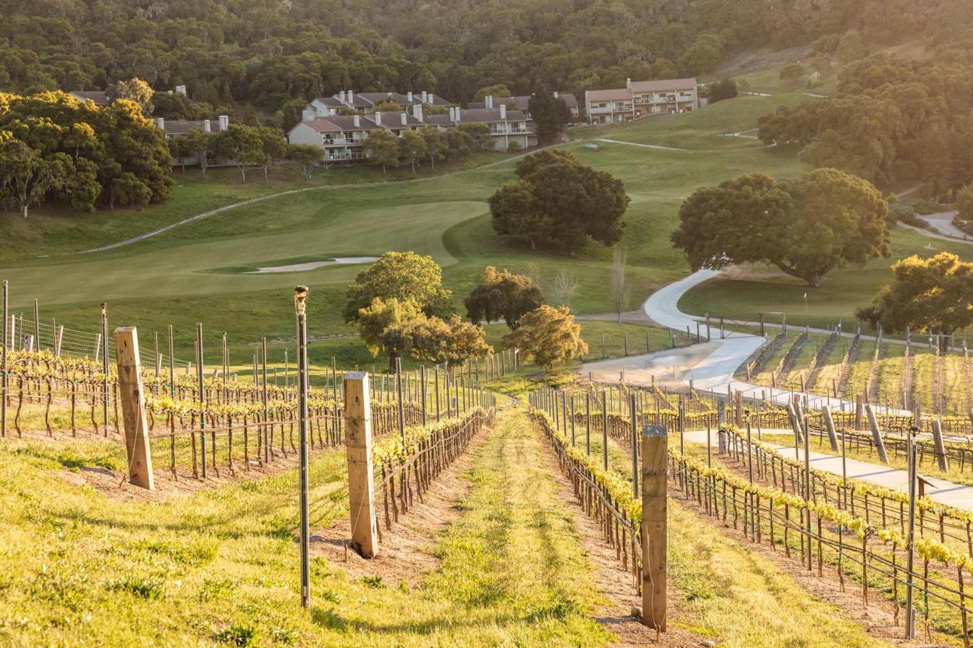 Carmel Valley Ranch, in The Unbound Collection by Hyatt photo 45