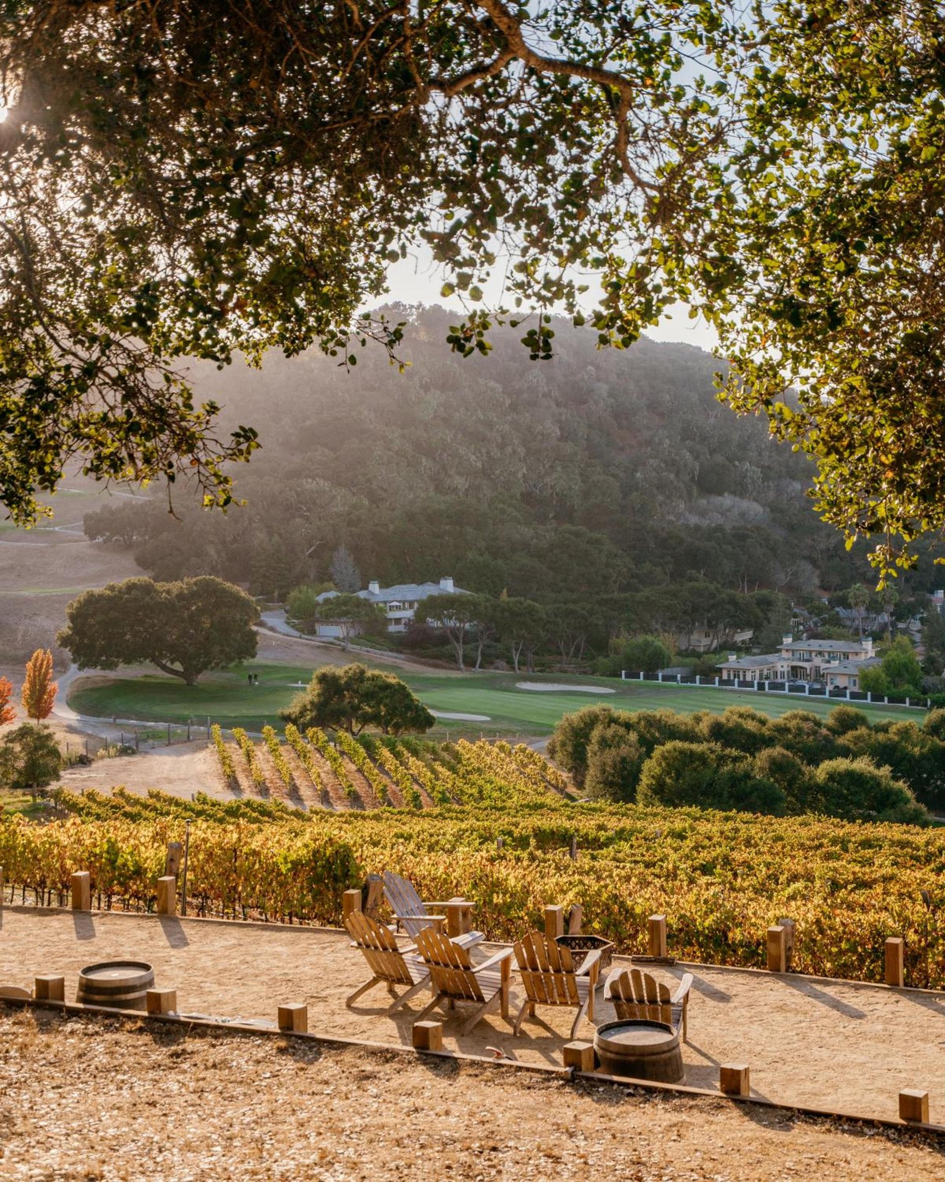 Carmel Valley Ranch, in The Unbound Collection by Hyatt photo 51
