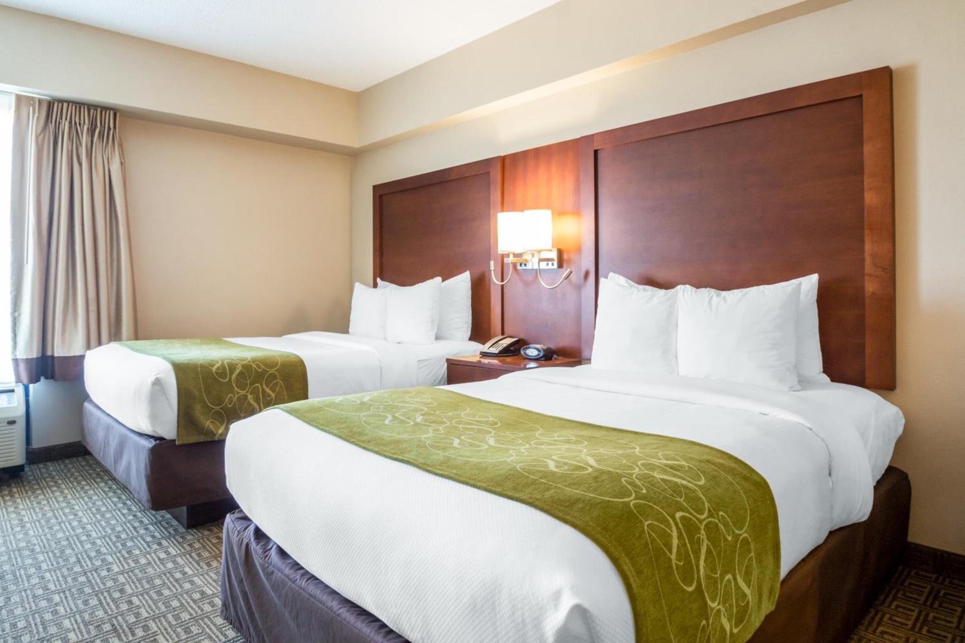 Comfort Suites at Woodbridge photo 27
