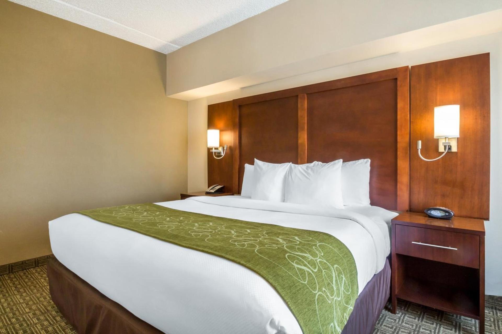 Comfort Suites at Woodbridge photo 35