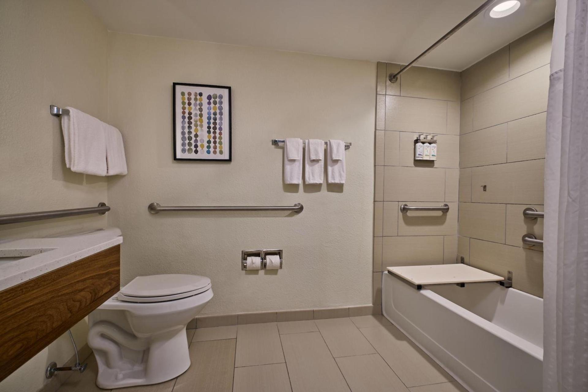 Holiday Inn Express & Suites Charleston DWTN - Medical CTR by IHG photo 52