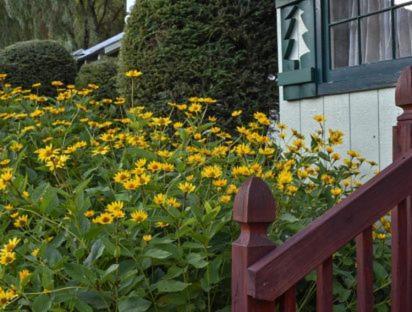 Adirondack Sunrise Lodge photo 26