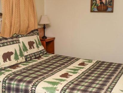 Adirondack Sunrise Lodge photo 25