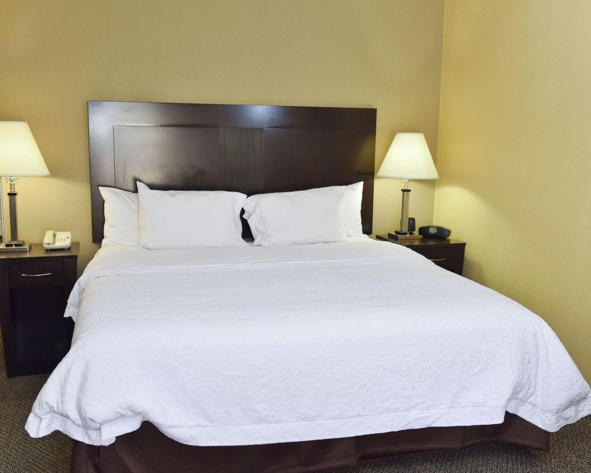 Hampton Inn & Suites Alexandria photo 13