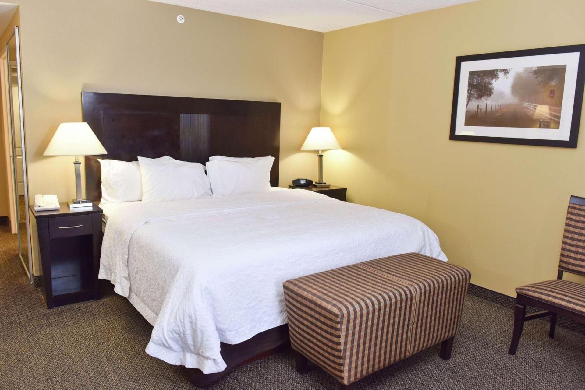 Hampton Inn & Suites Alexandria photo 31